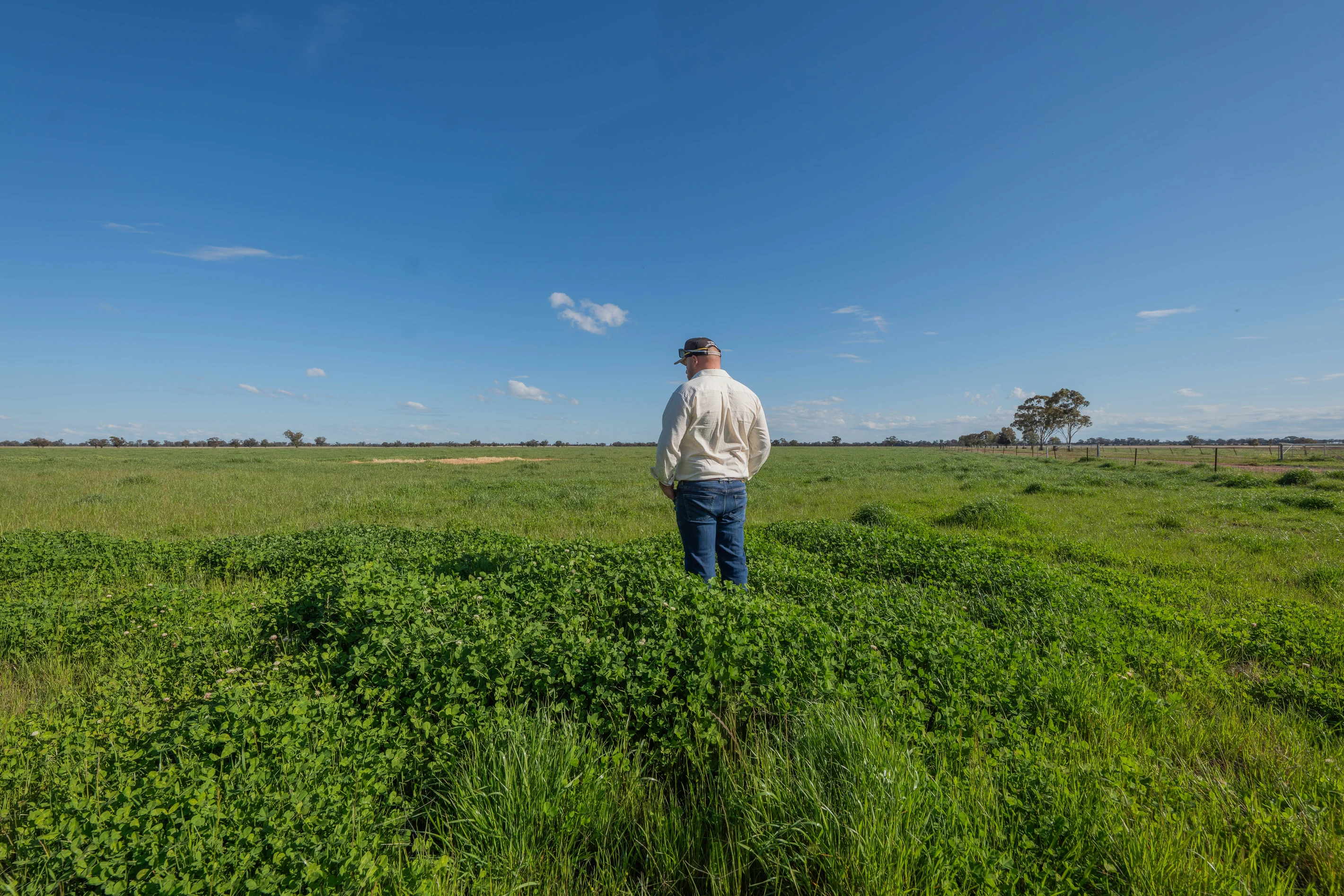 536 Wyrra Lane, West Wyalong, NSW 2671