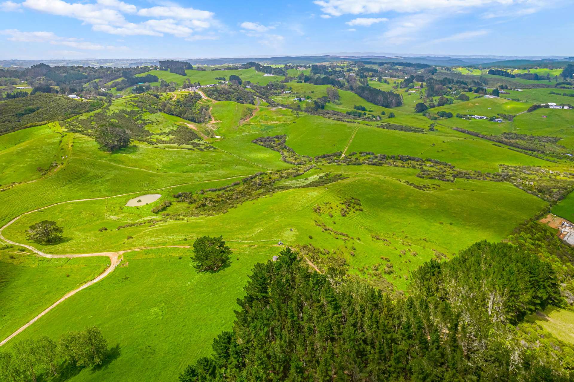 515 Kahikatea Flat Road photo 7