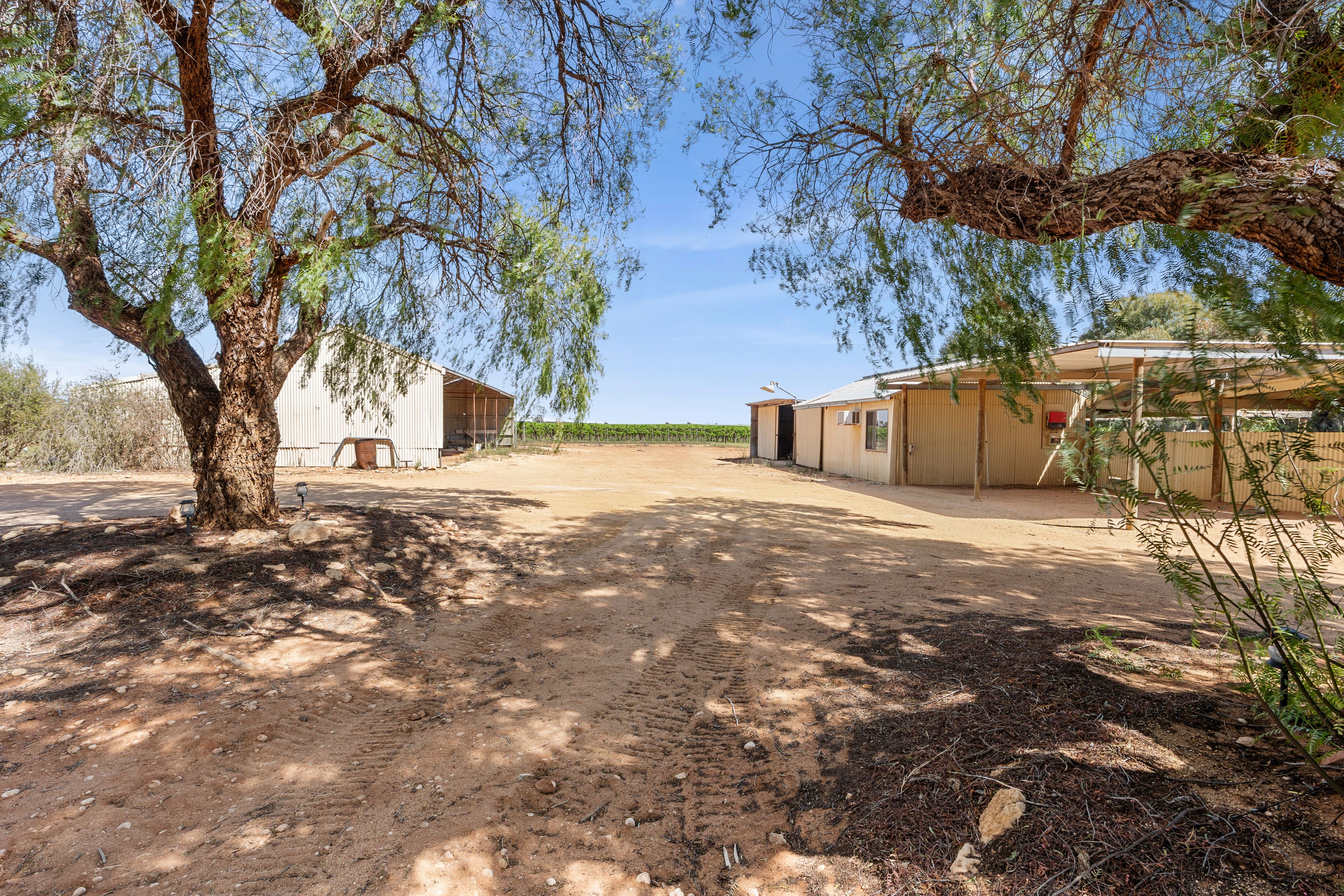 38 Gray Road, Moorook, SA 5332