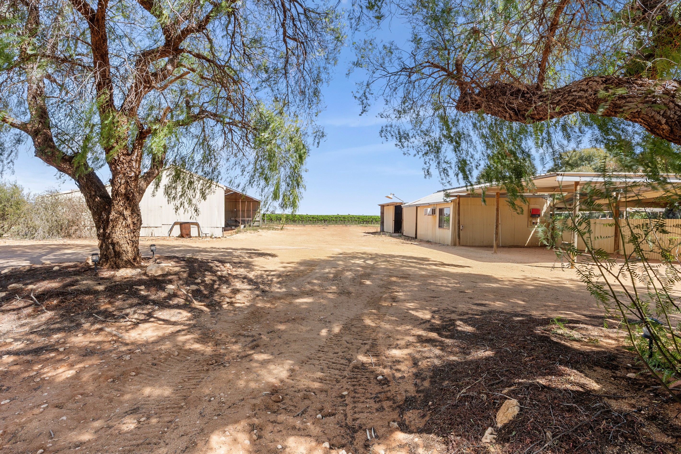 38 Gray Road, Moorook, SA 5332