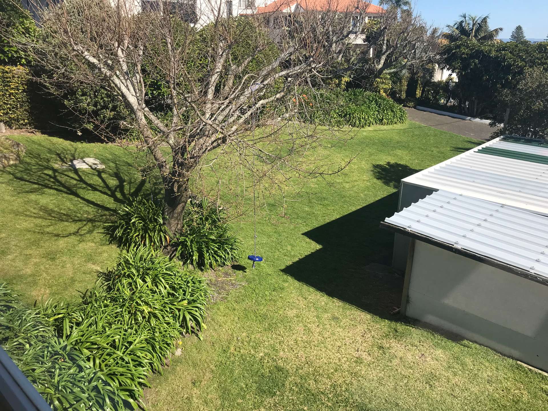 6 Rita Street - Includes Lawns and Gardens photo 26