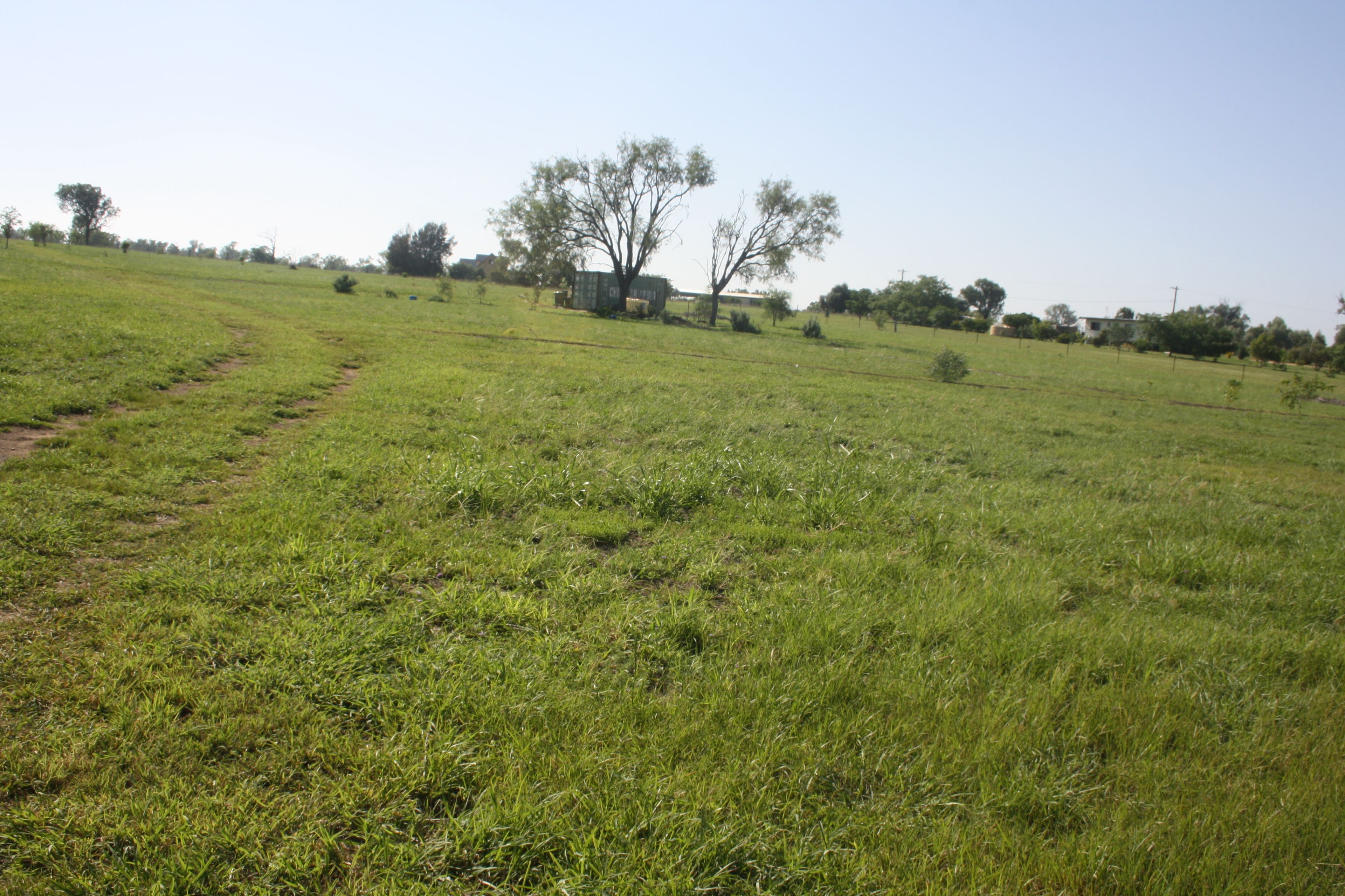 Lot 18 Frank McCauley Street, Mundubbera, QLD 4626