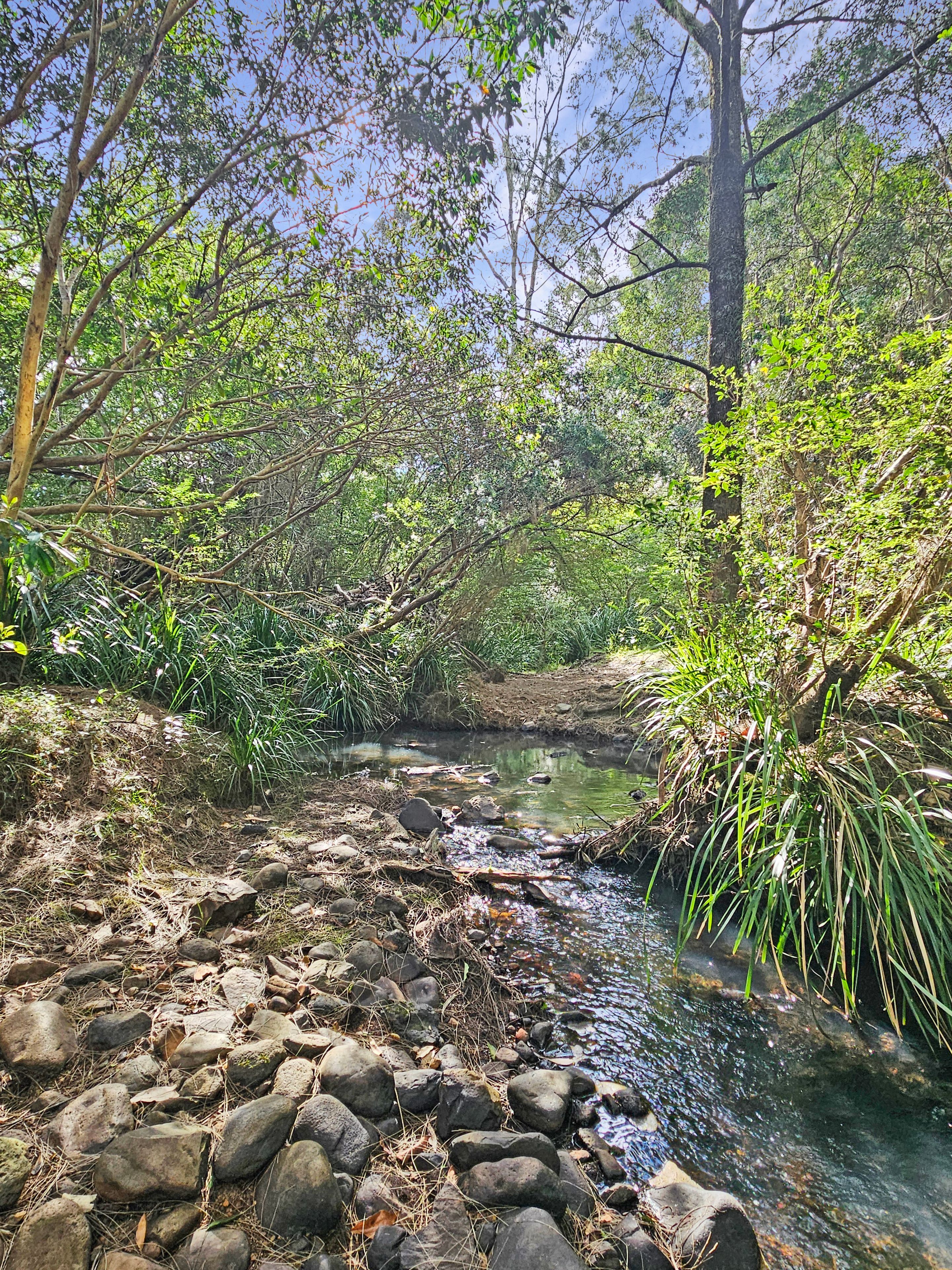 Lot 44 Ramsay Road — photo 17 of 19