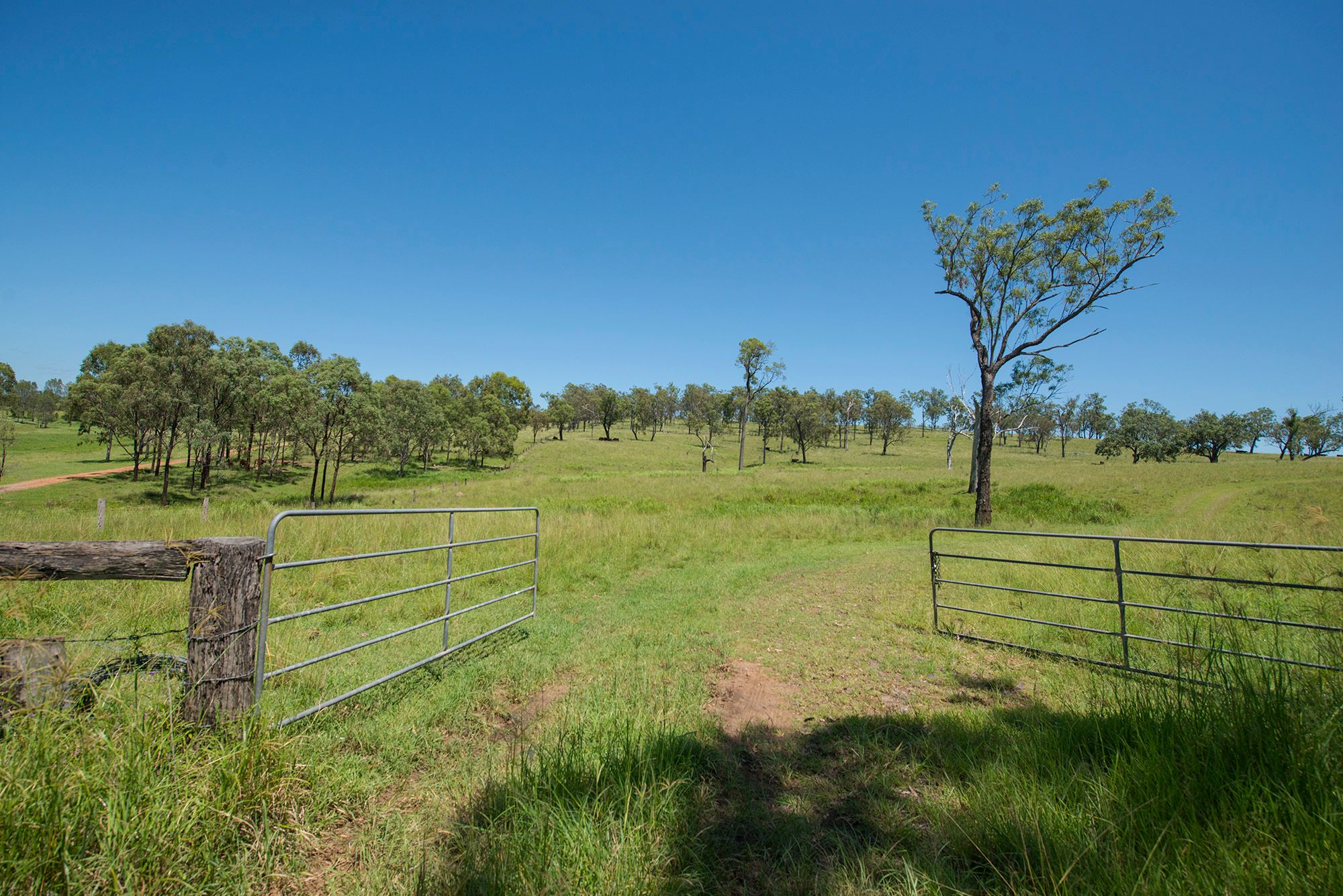 Corner Tralee & Waines Road, MOUNT WALKER WEST, QLD 4340 Land for