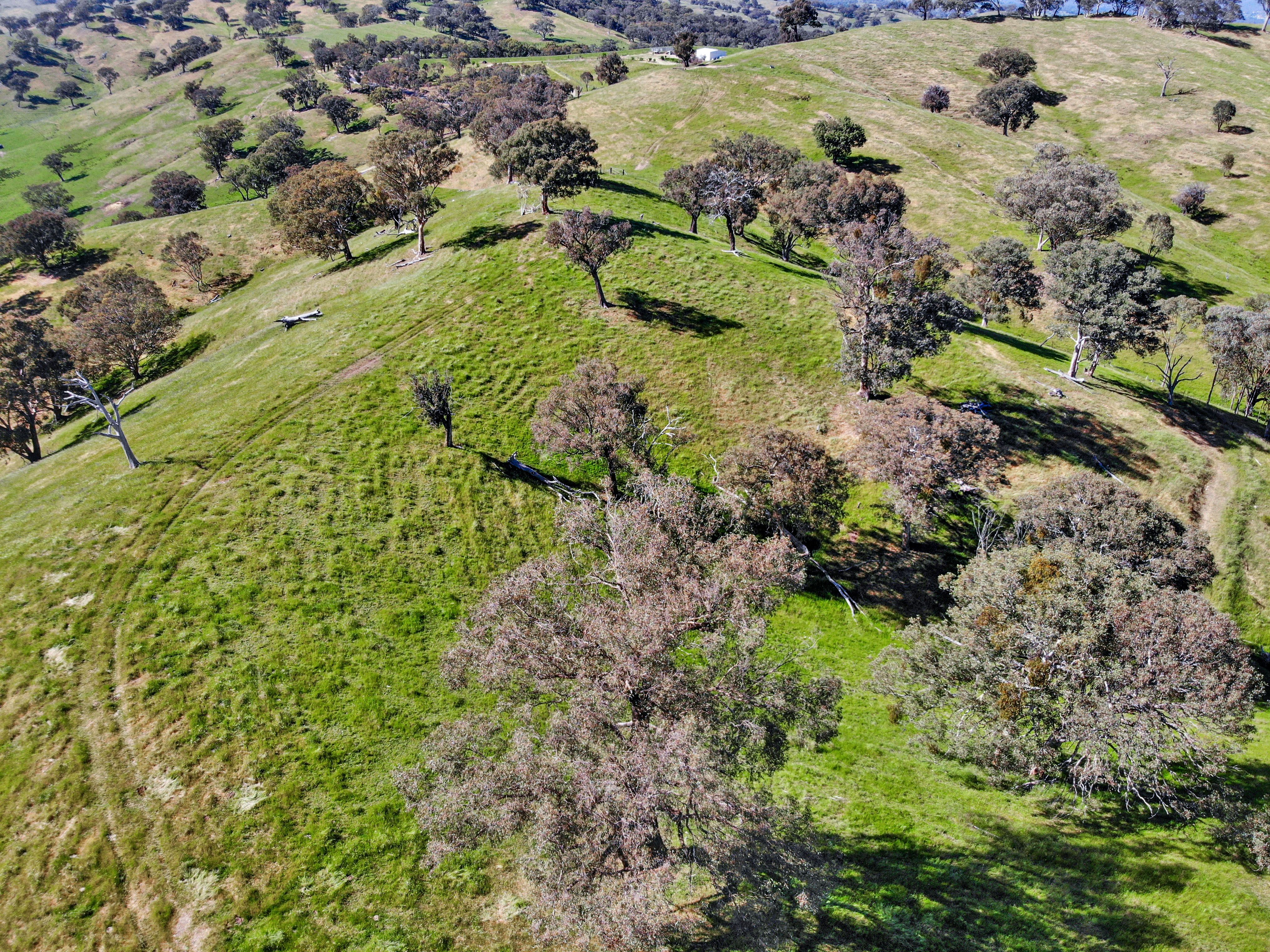 Lot 8 in DP 1047706 Brungle Road, Tumut, NSW 2720 Sold Rural Property