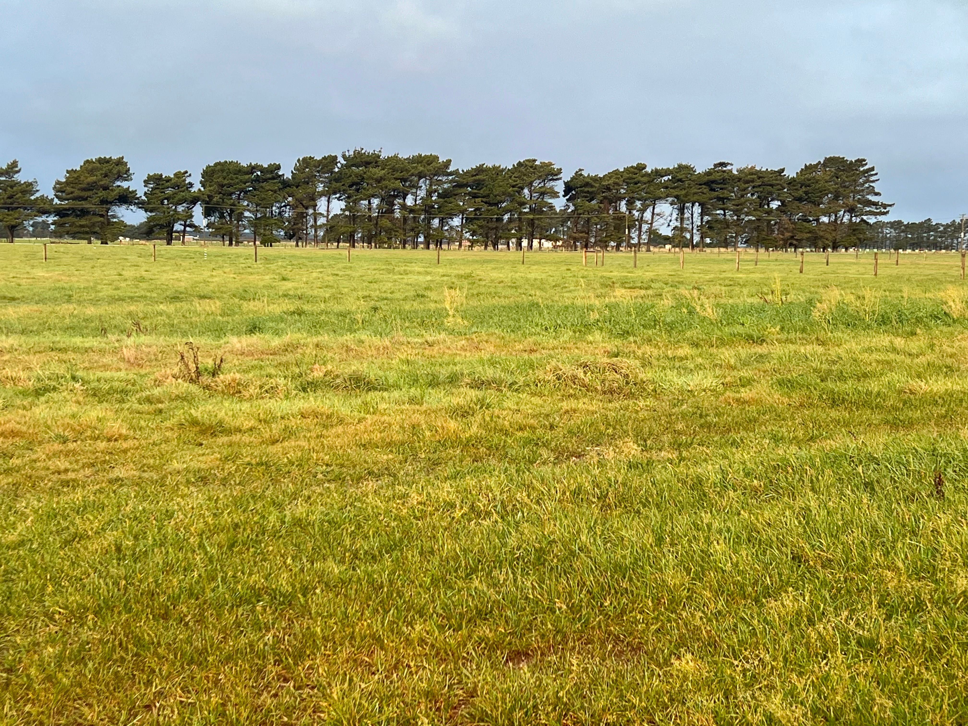 1165 Motu Rimu Road, Motu Rimu, Invercargill