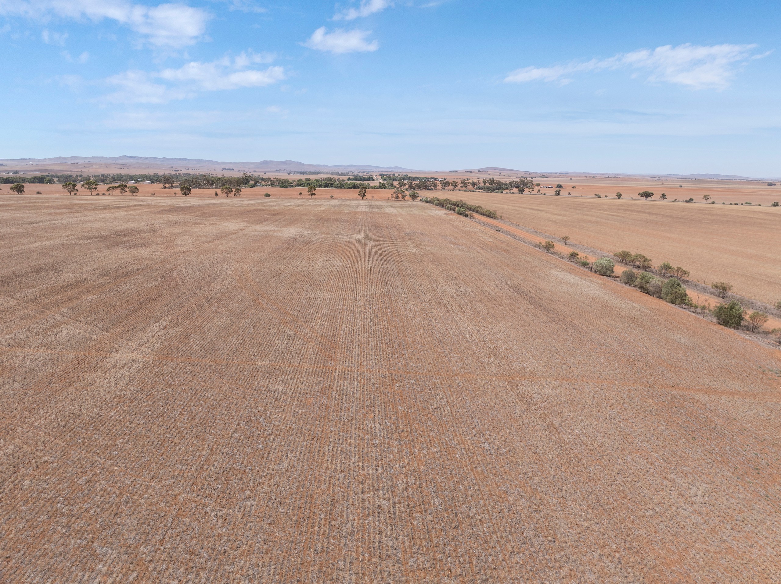 'Hillams' Trig Hill Road, Caltowie, SA 5490