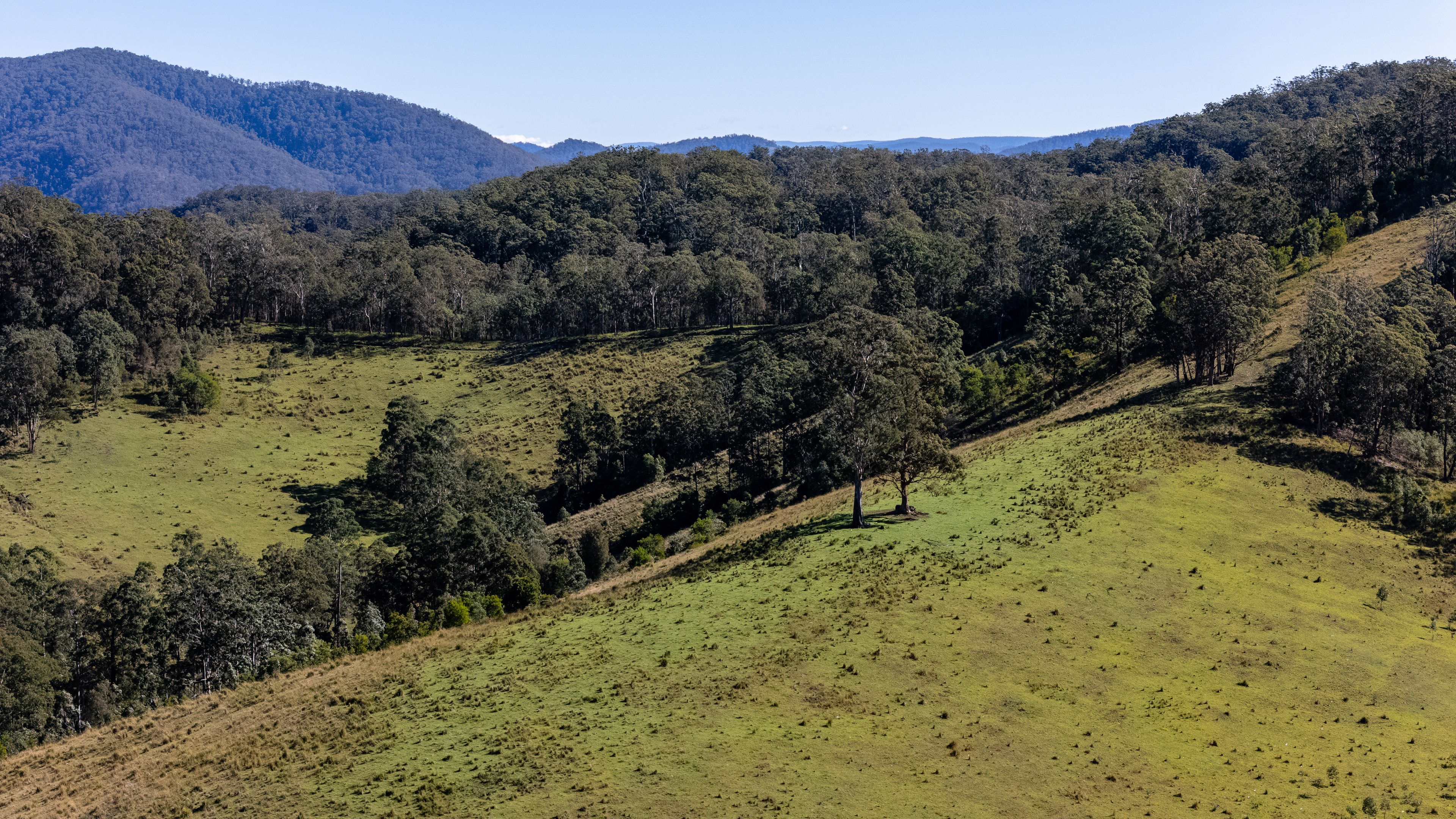 'The Oaks Estate' Lots 34, 35, 45, 61 Cells Road — photo 15 of 27