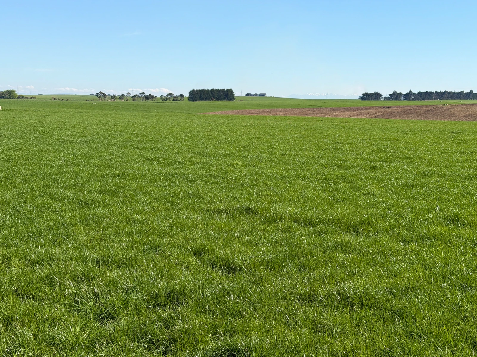 215 Orr Road, Waimatua, Southland District