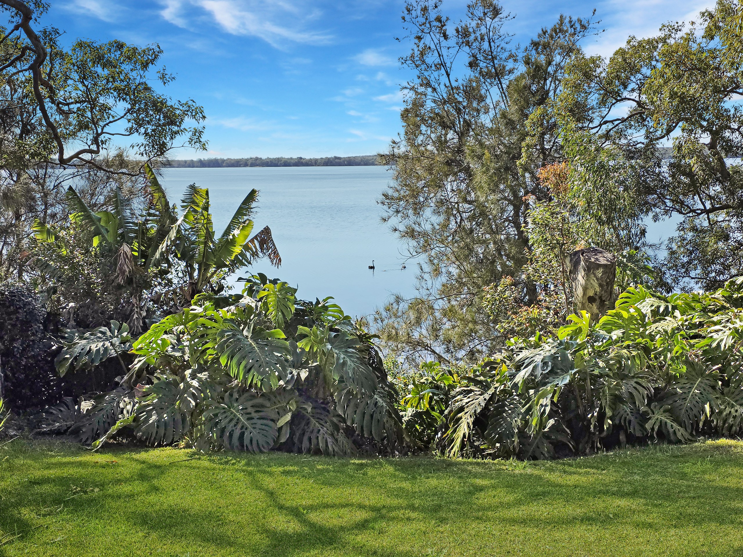 175 Sunrise Avenue, Halekulani, NSW 2262