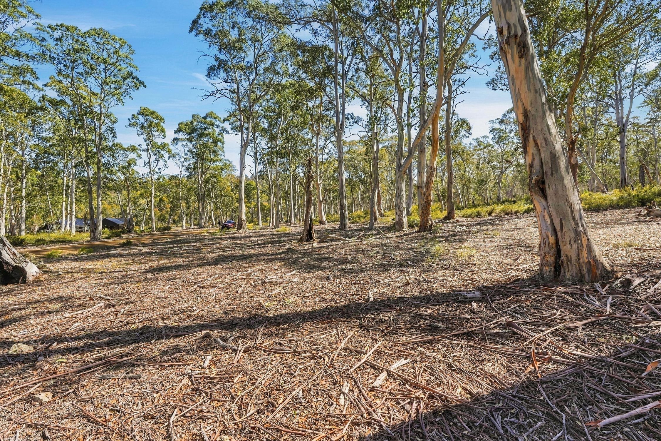 3 Pauciflora Drive — photo 11 of 12