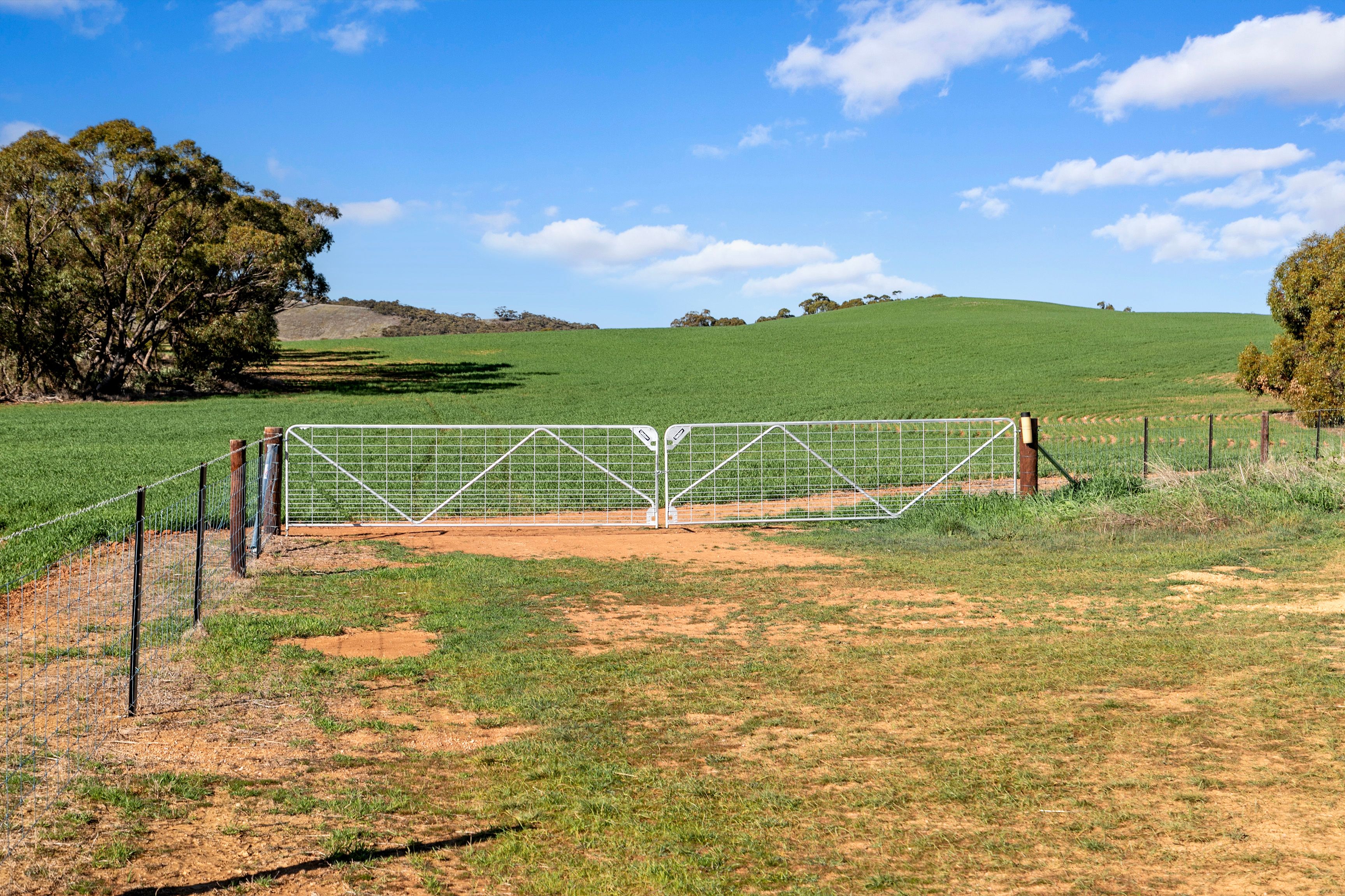 'Gum View Hills' Road, Pekina, SA 5431 Rural Mixed Farming