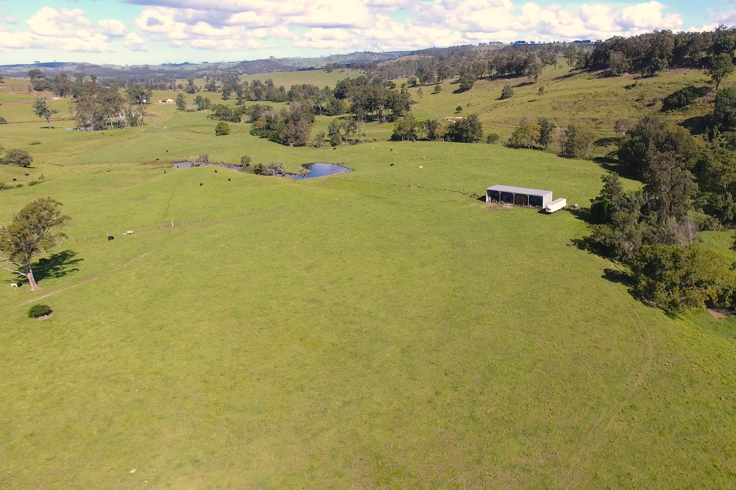 321 Wallaringa Road, Dungog, NSW 2420