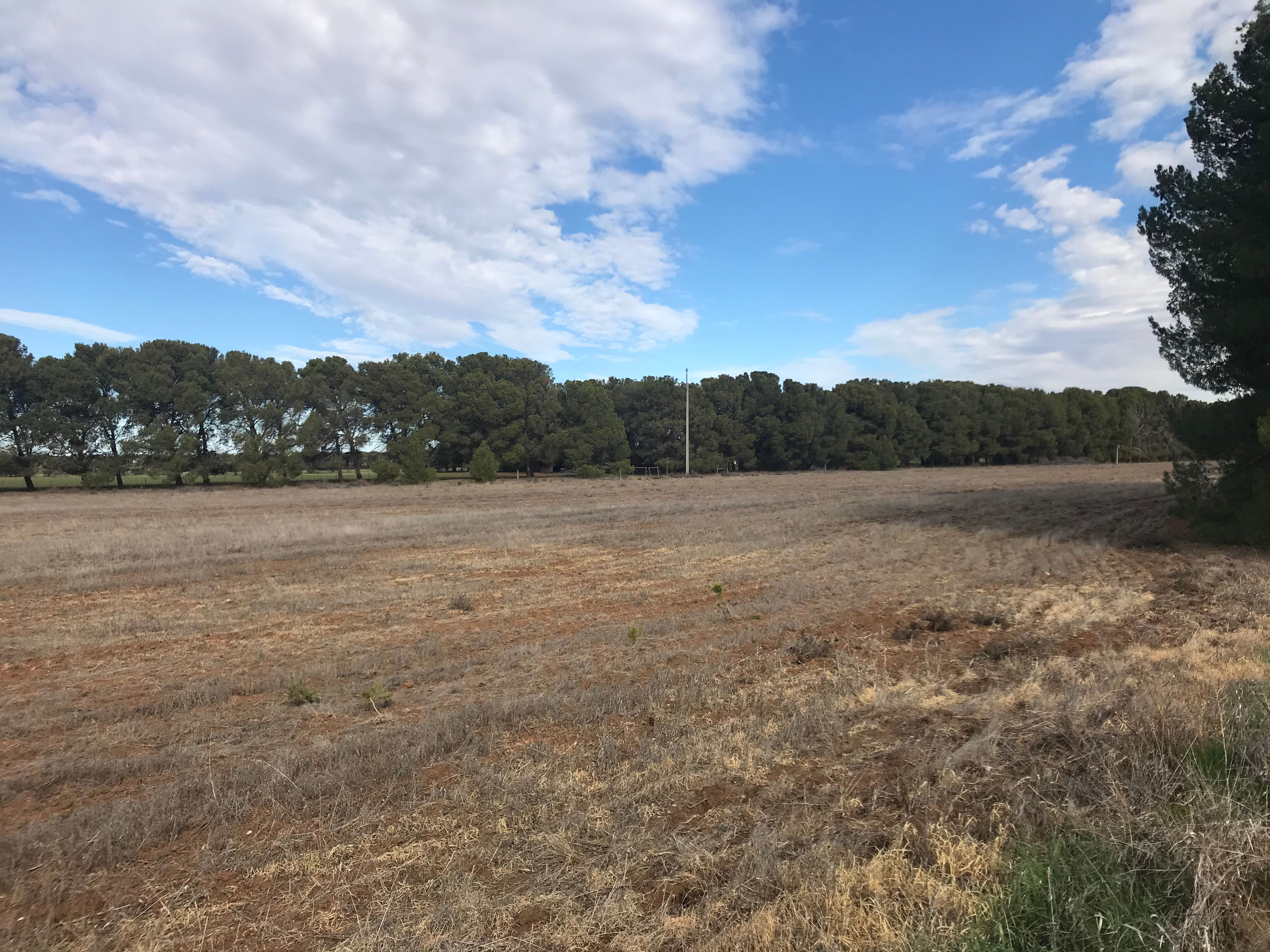 Lot 7 Augusta Highway, SNOWTOWN, SA 5520