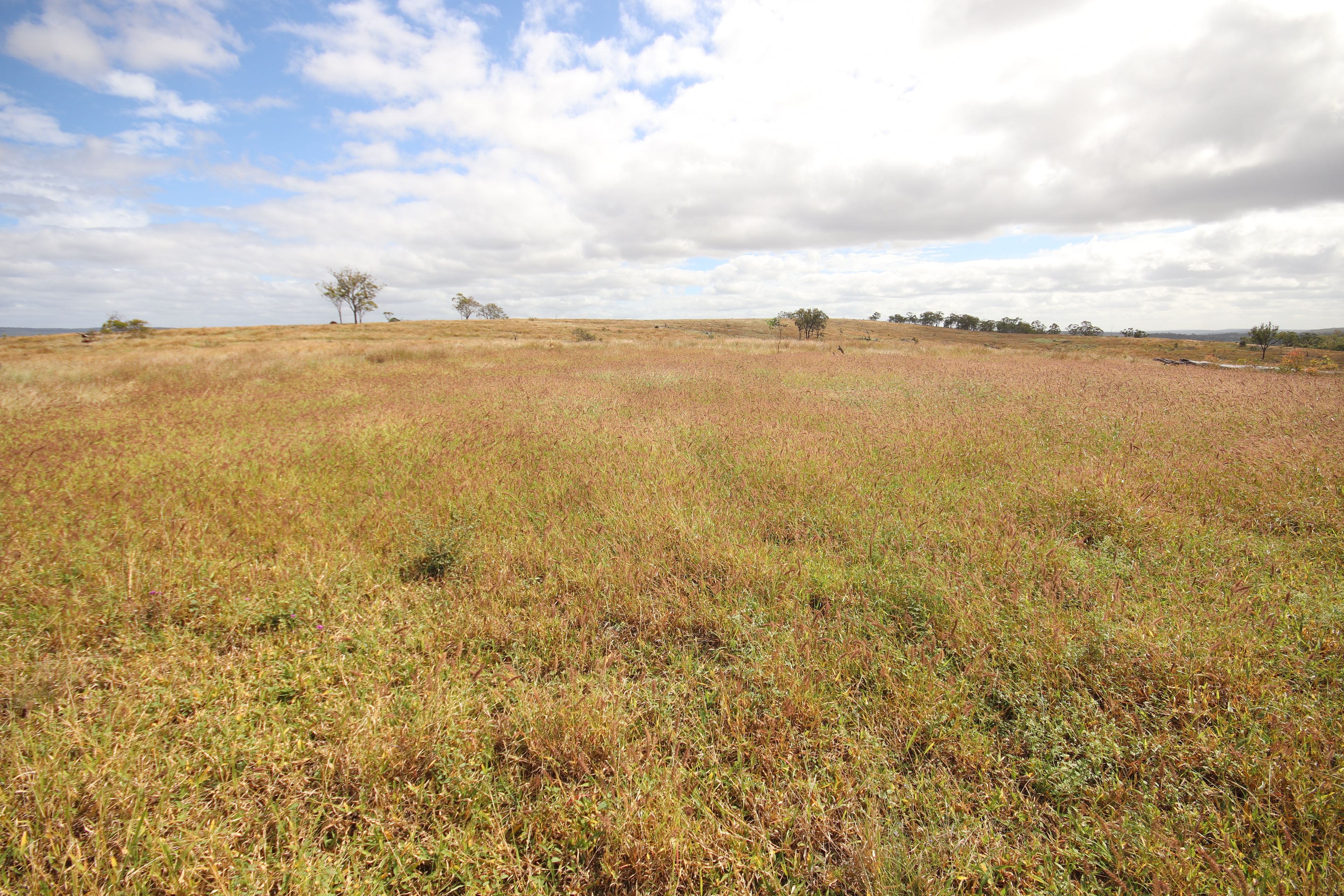 Lot 33 Eidsvold Theodore Road, Eidsvold, QLD 4627 Rural Property for