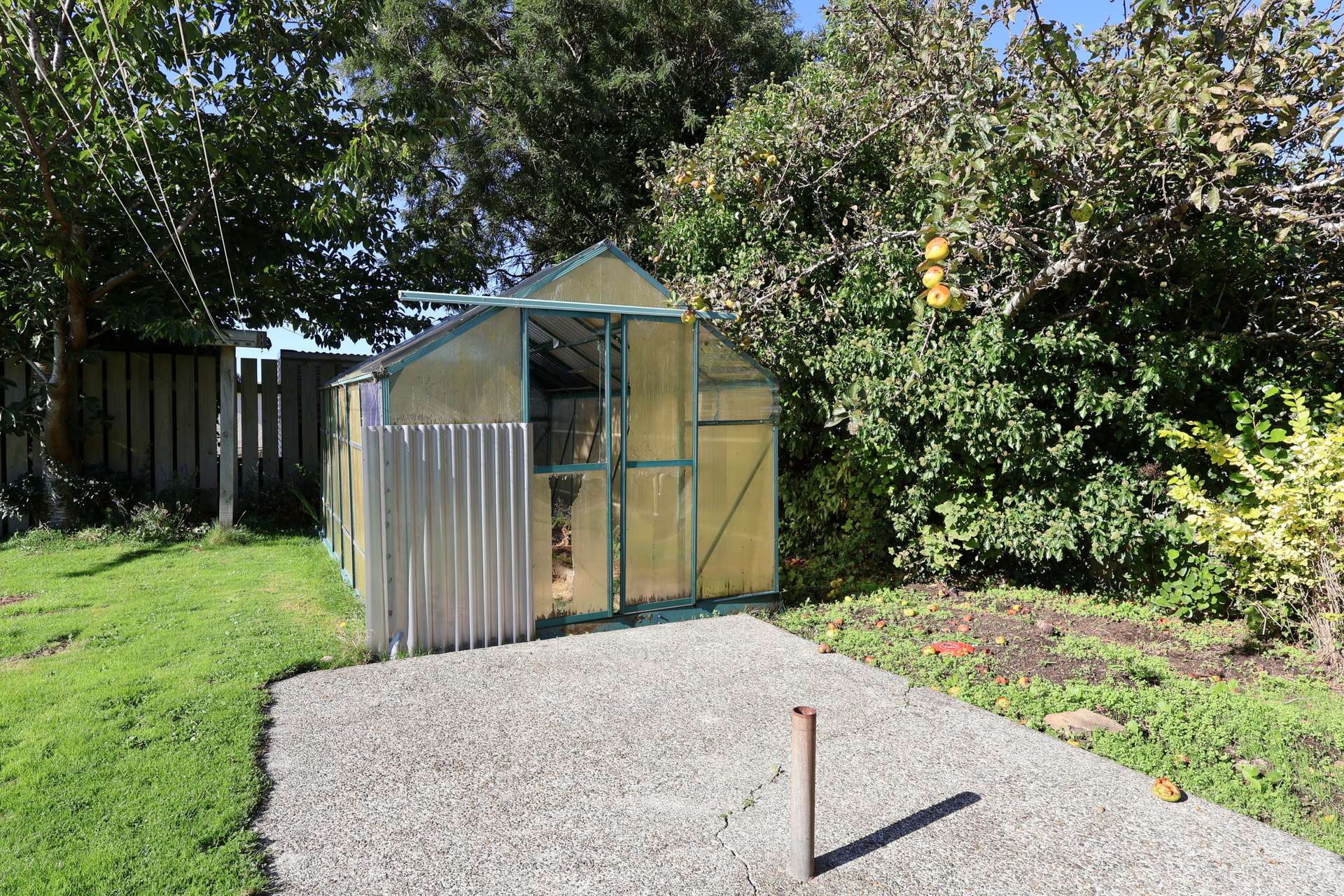 62 Anglem Street photo 20