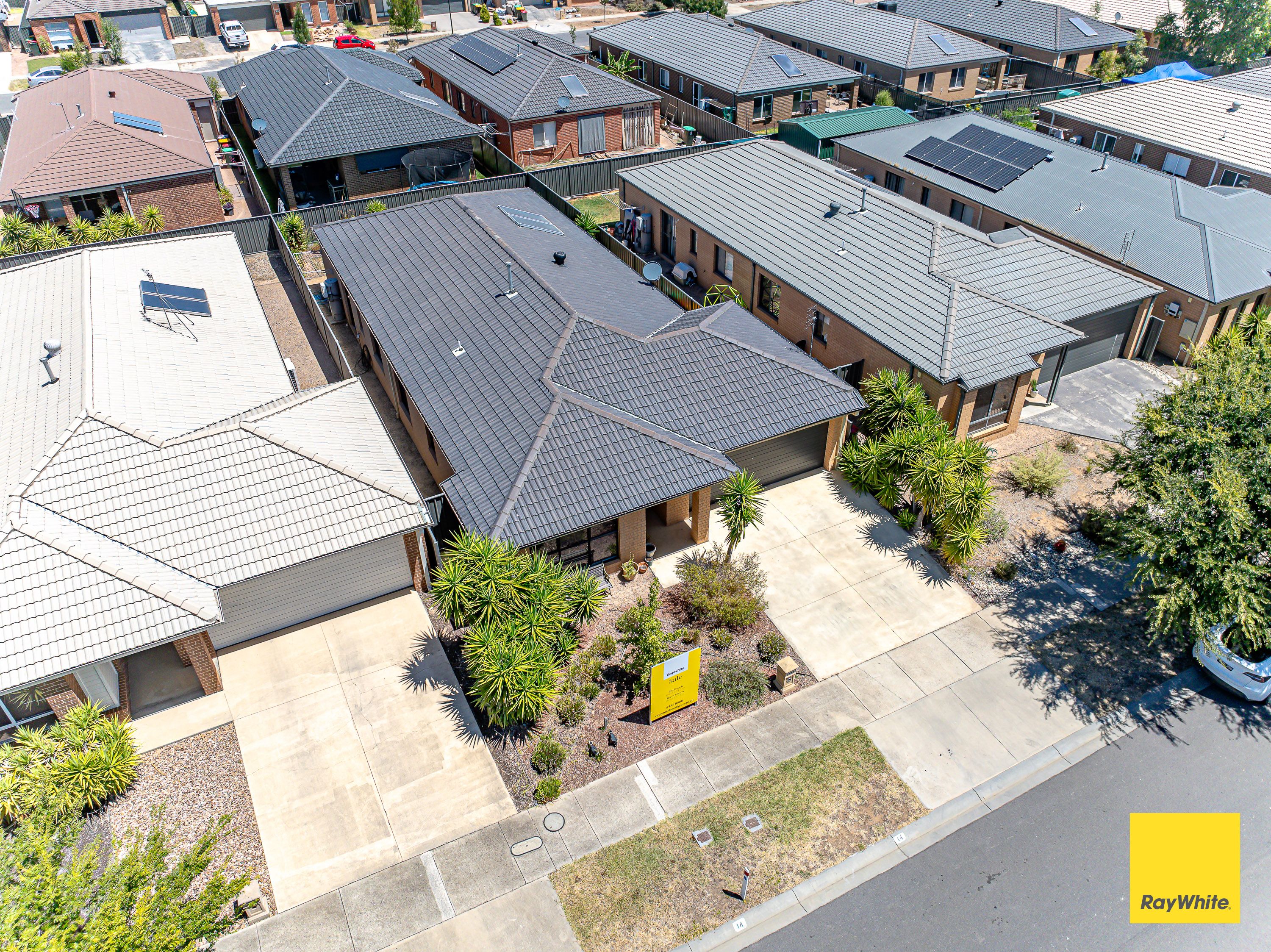 14 Saltbush Street, Jackass Flat, VIC 3556