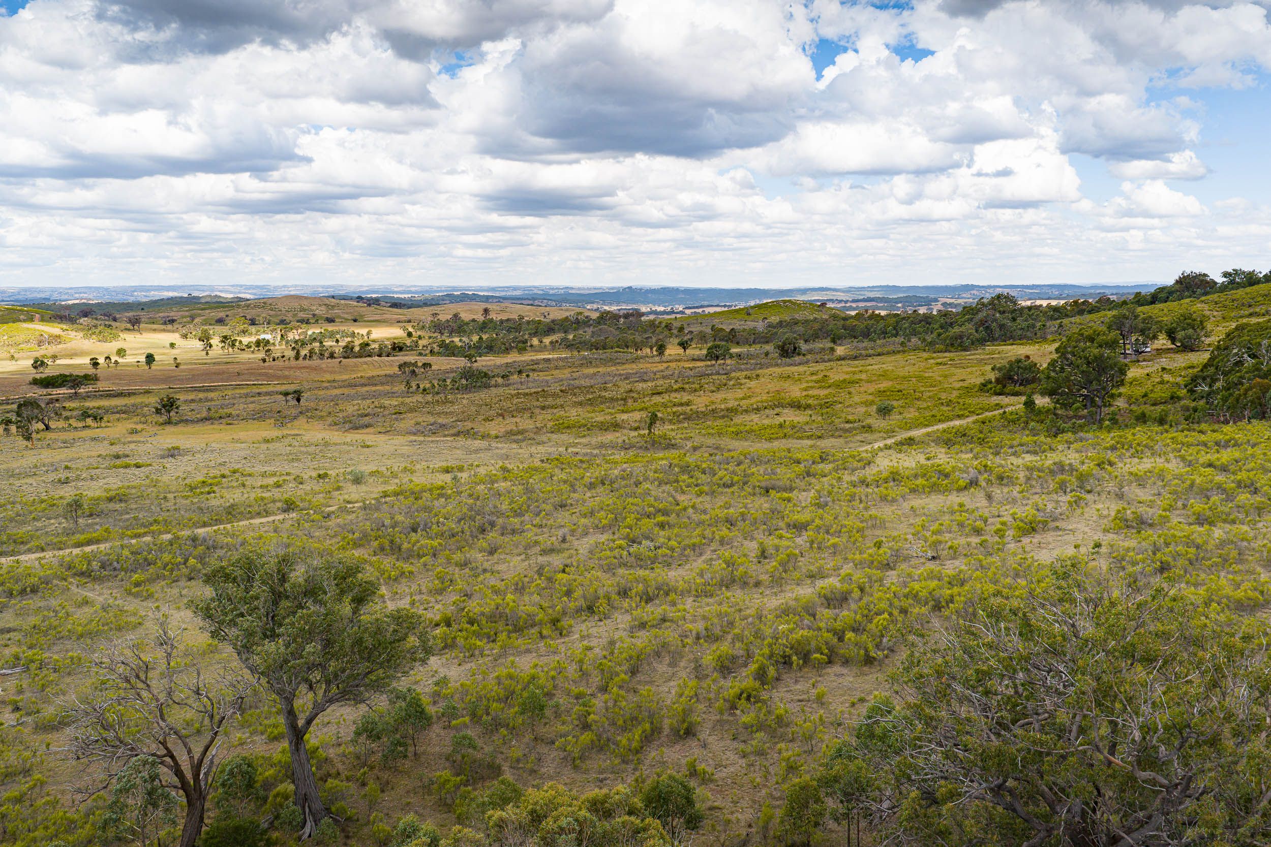 Lot 75 Maryvale Road Bevendale Via — photo 7 of 10