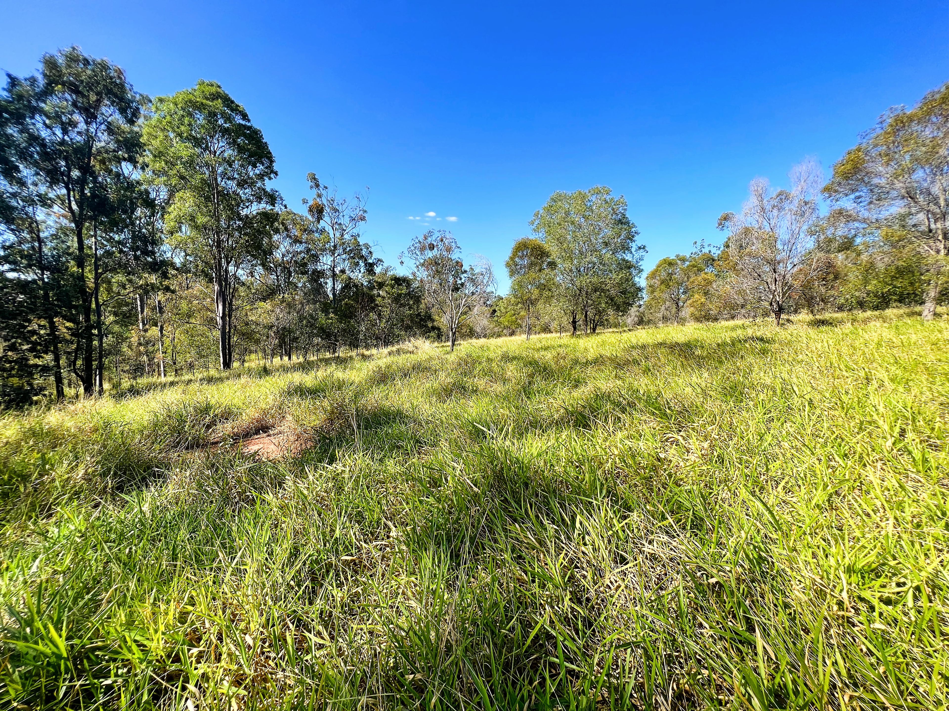 Lot 4 Lirema Court, Delan, QLD 4671
