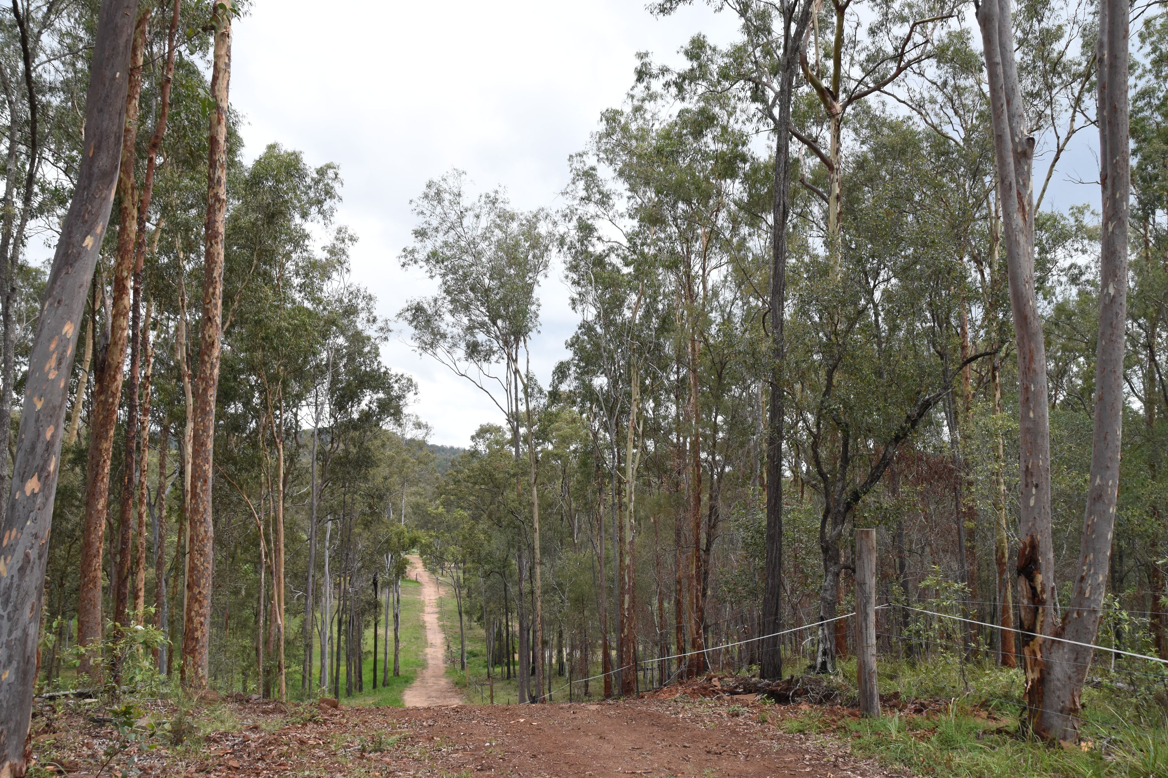 136 - 228 Marks Road — photo 18 of 30