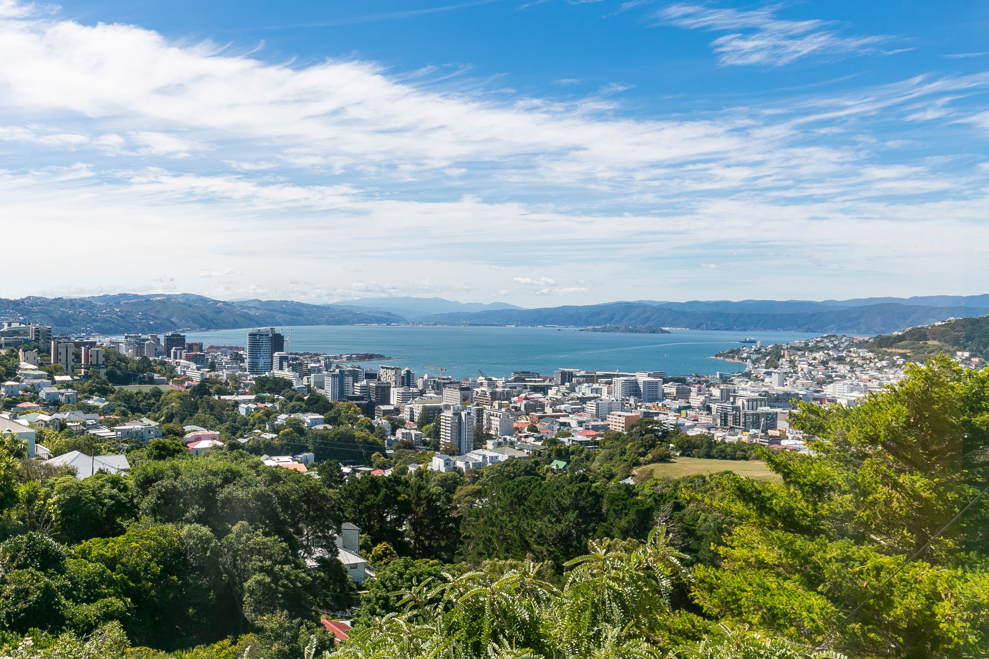 92 Mortimer Terrace, Brooklyn, Wellington City
