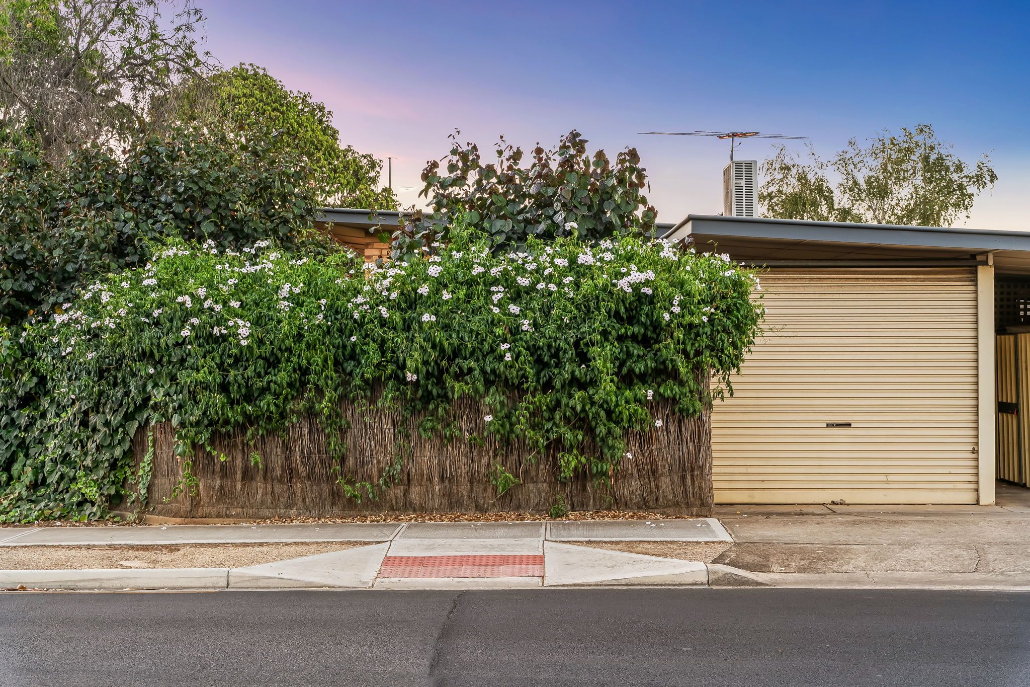 1/72 Daly Street, Kurralta Park, SA 5037