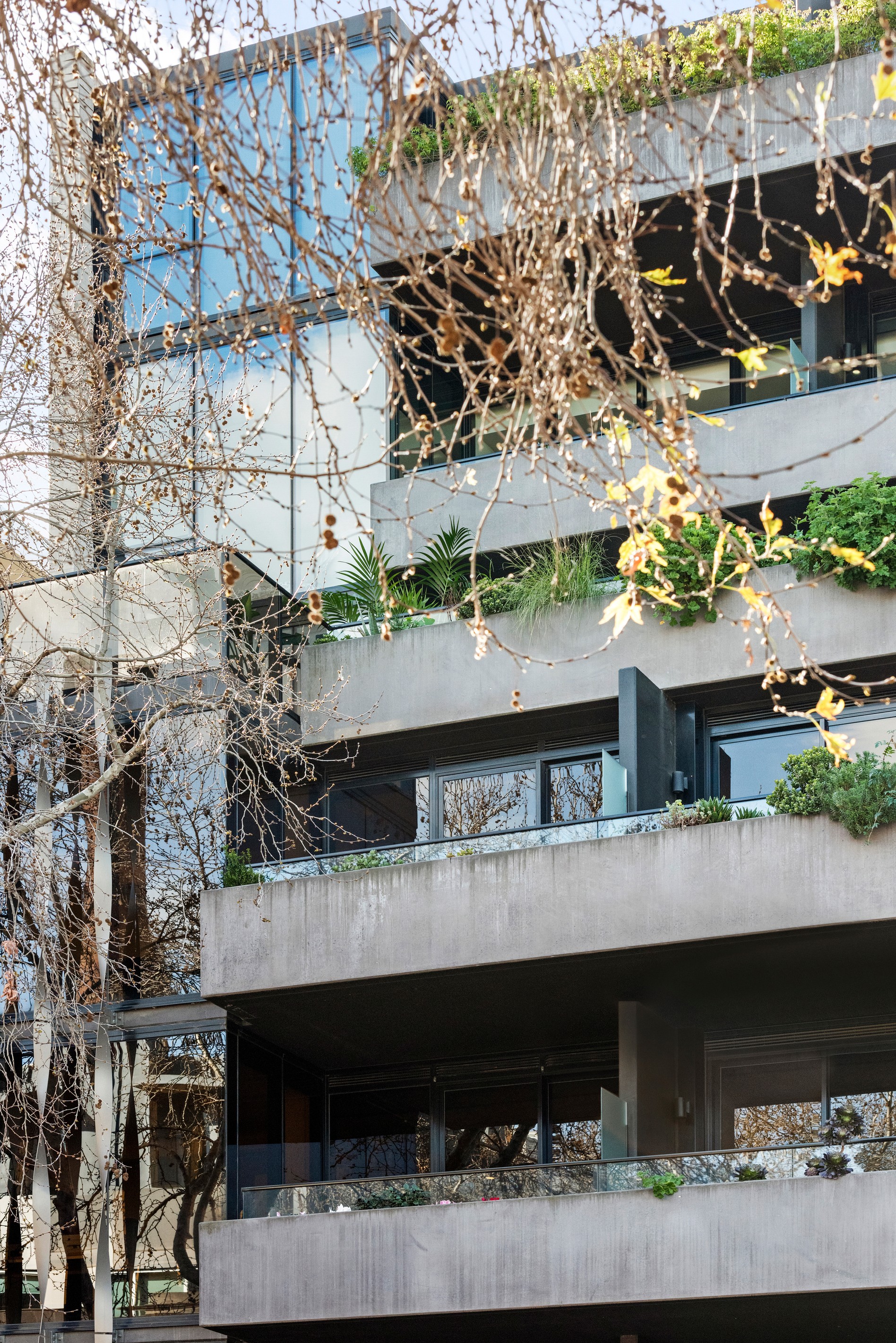 108/31 Napoleon Street, Collingwood, VIC 3066