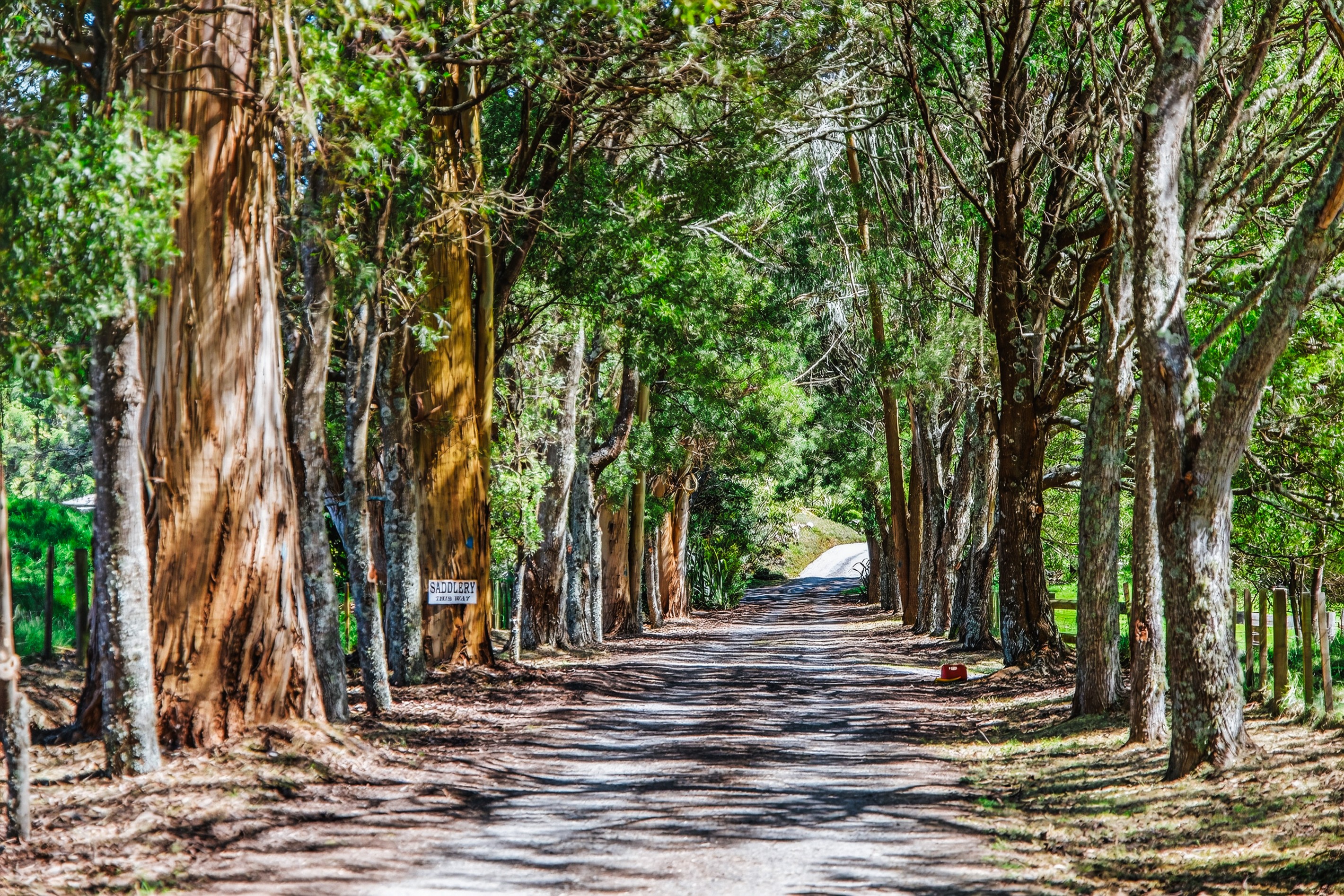 273 Mapara Road, Acacia Bay, Taupo District