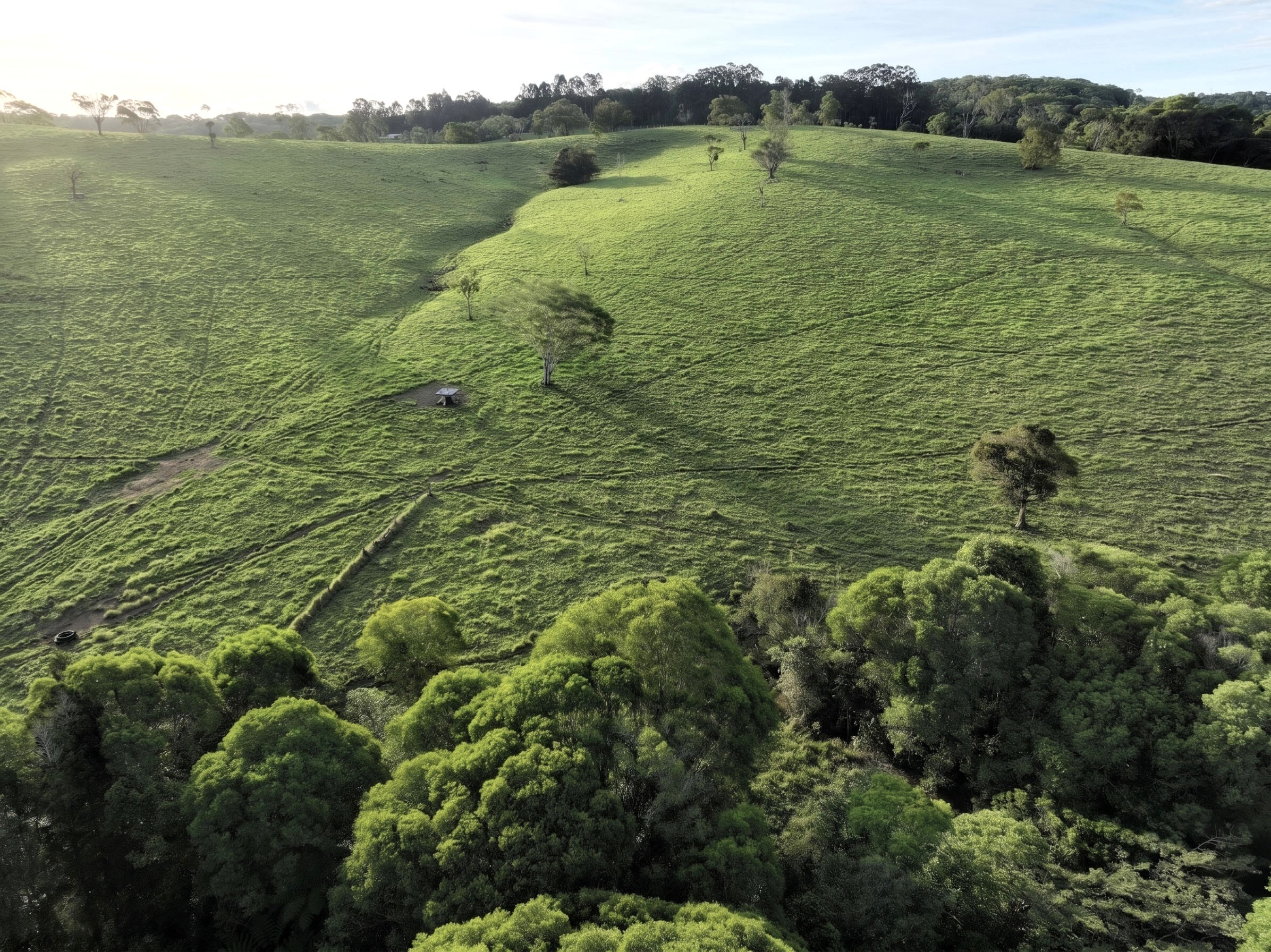 60 Brown Road, Lake Eacham, QLD 4884
