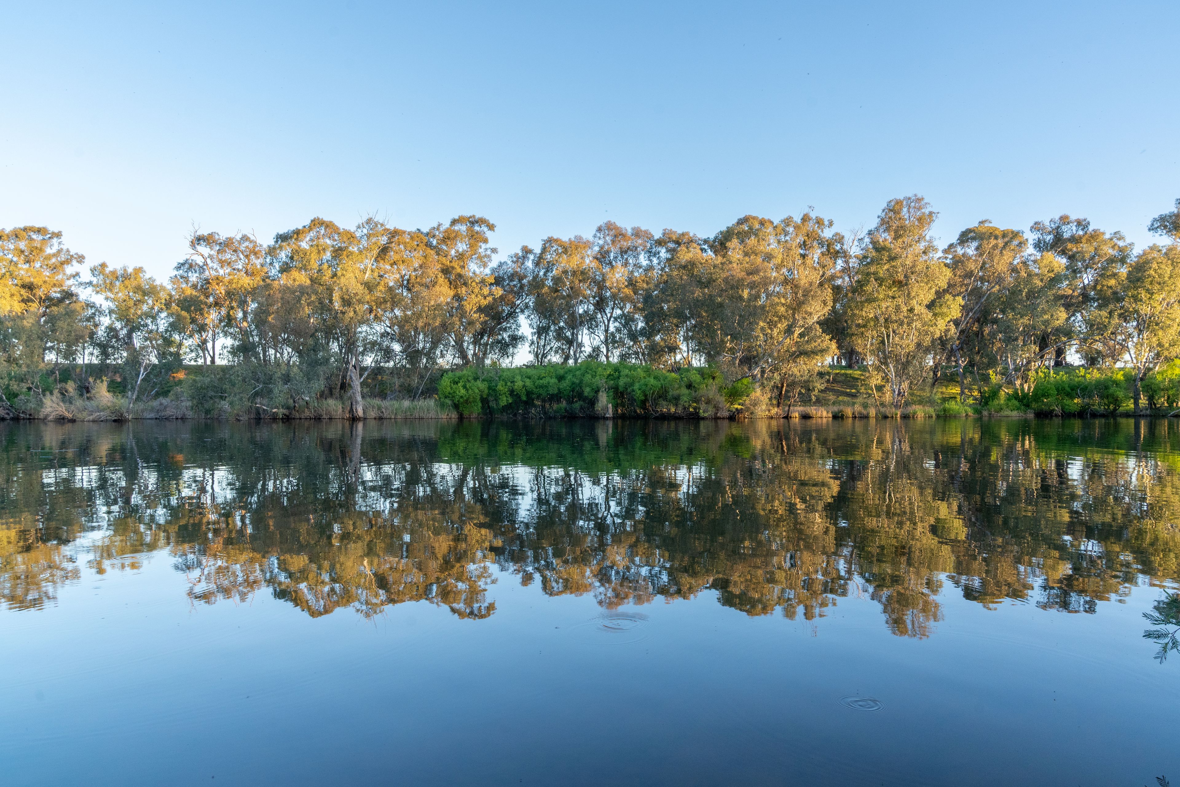 LOT 2/121 WATTLEVALE Road — photo 4 of 24