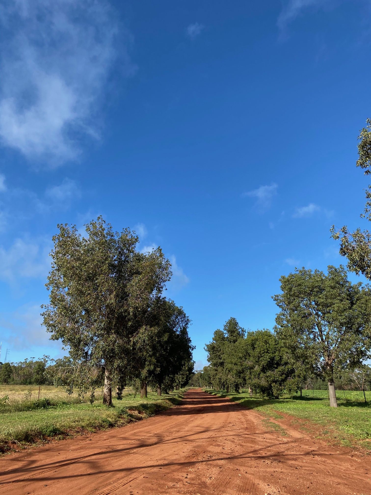 45 Maitland Street, Condobolin, NSW 2877