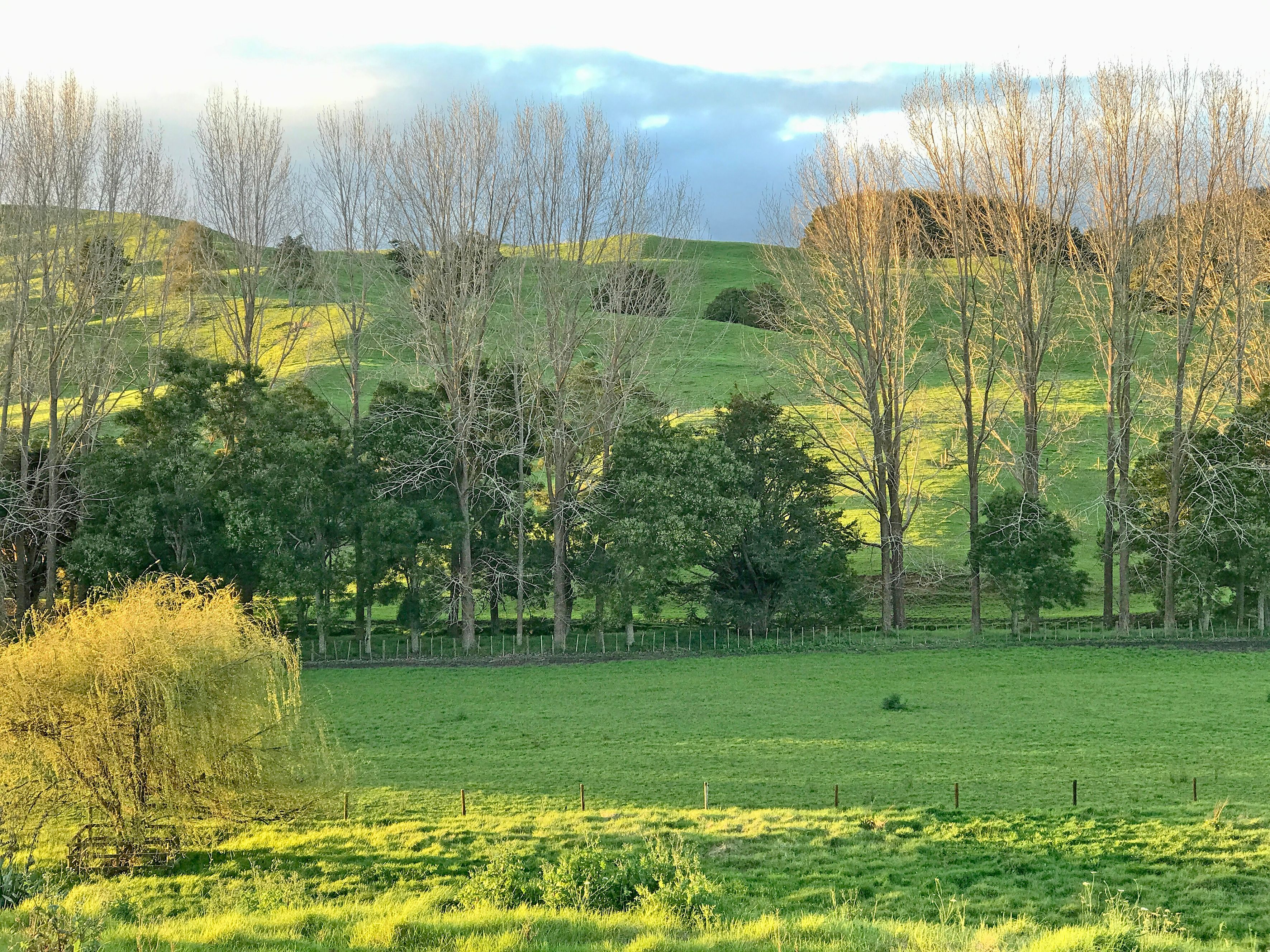127 Taipuha Road, Waiotira, Whangarei District