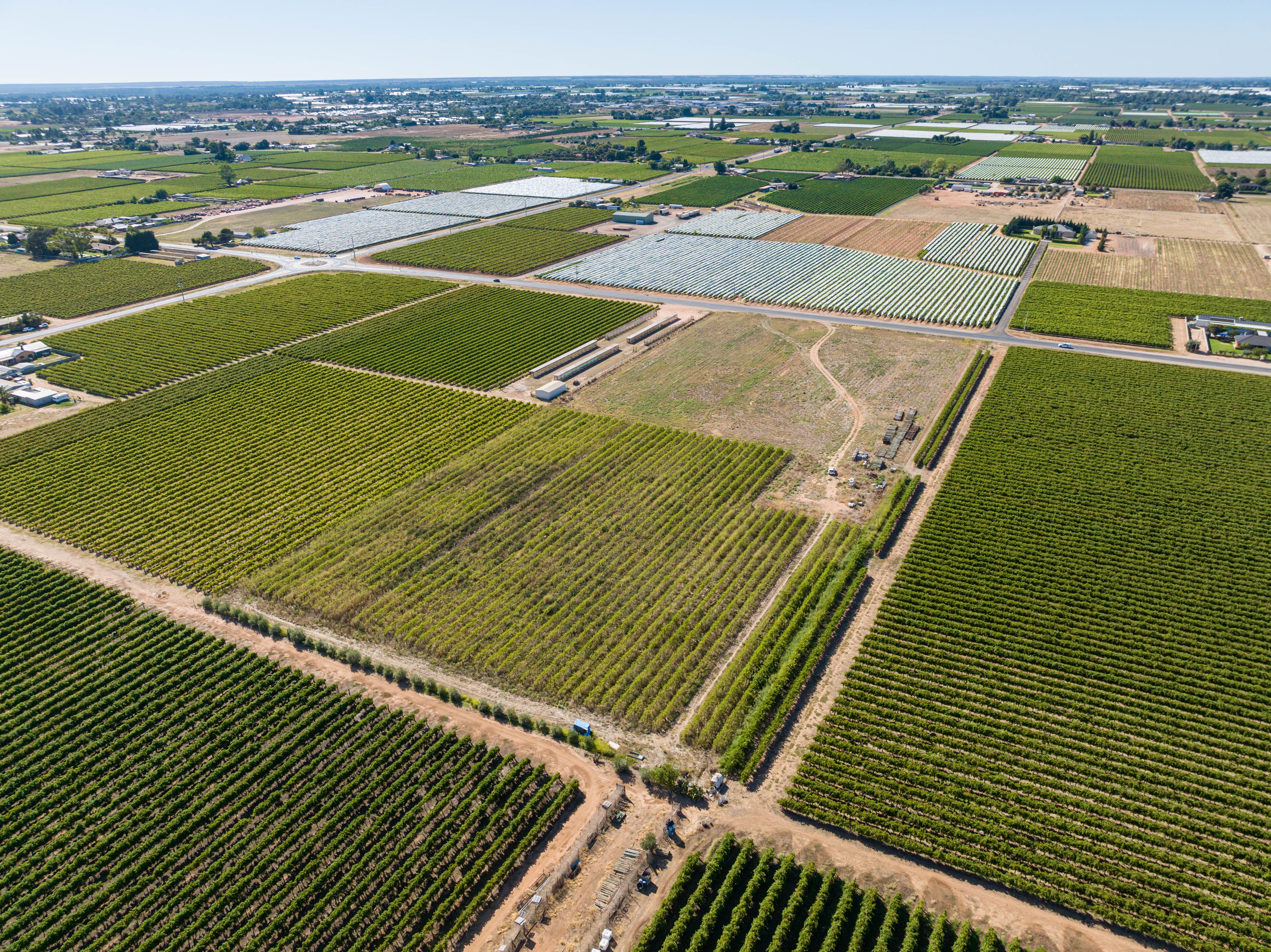 965983 Avenue, Mildura, VIC 3500 Land for Sale Ray White