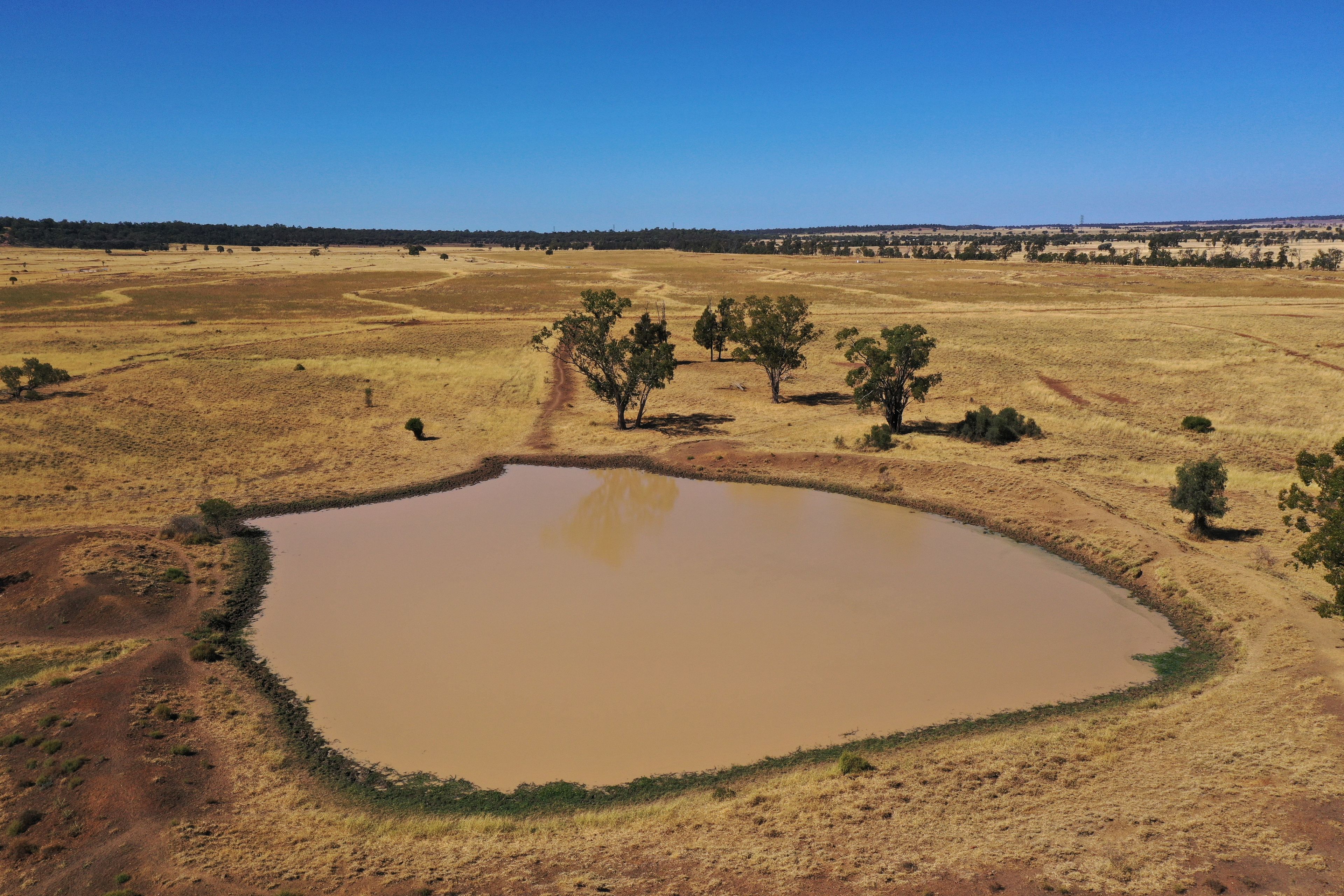 0 Swans Road, Wallumbilla, QLD 4428