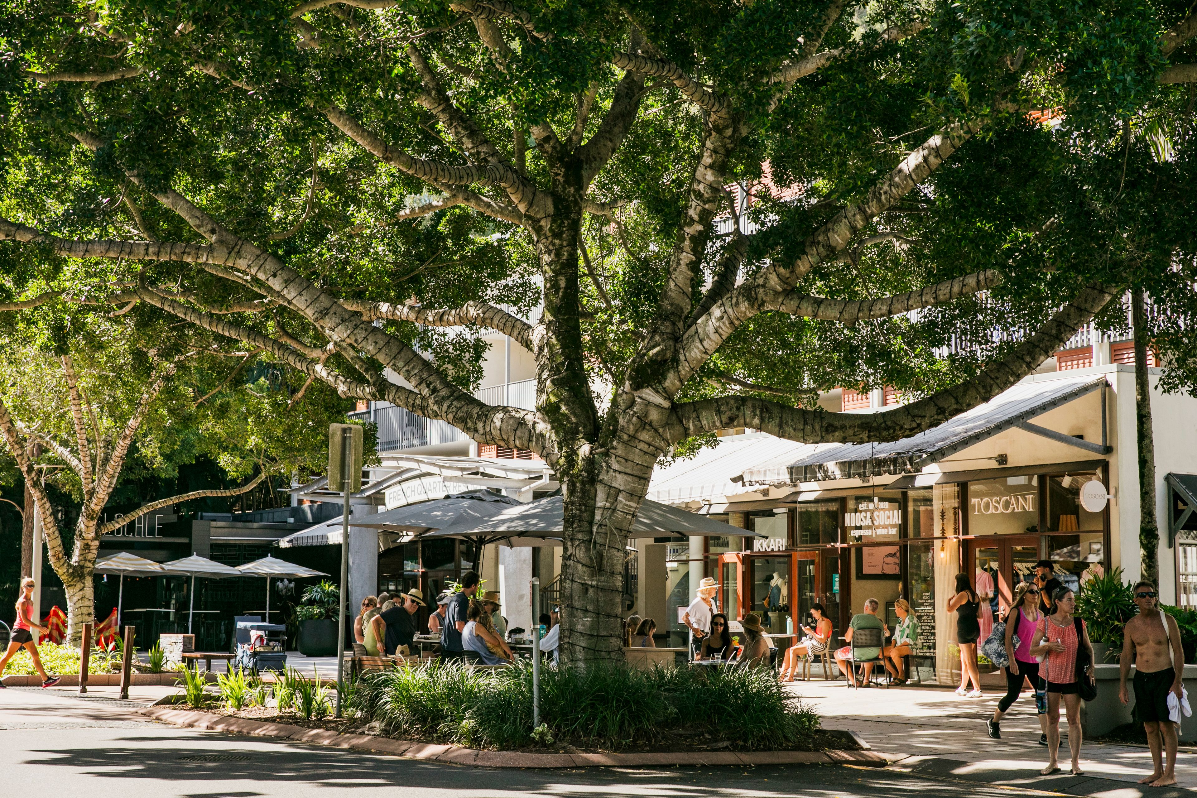 1/62 Hastings Street, Noosa Heads, QLD 4567