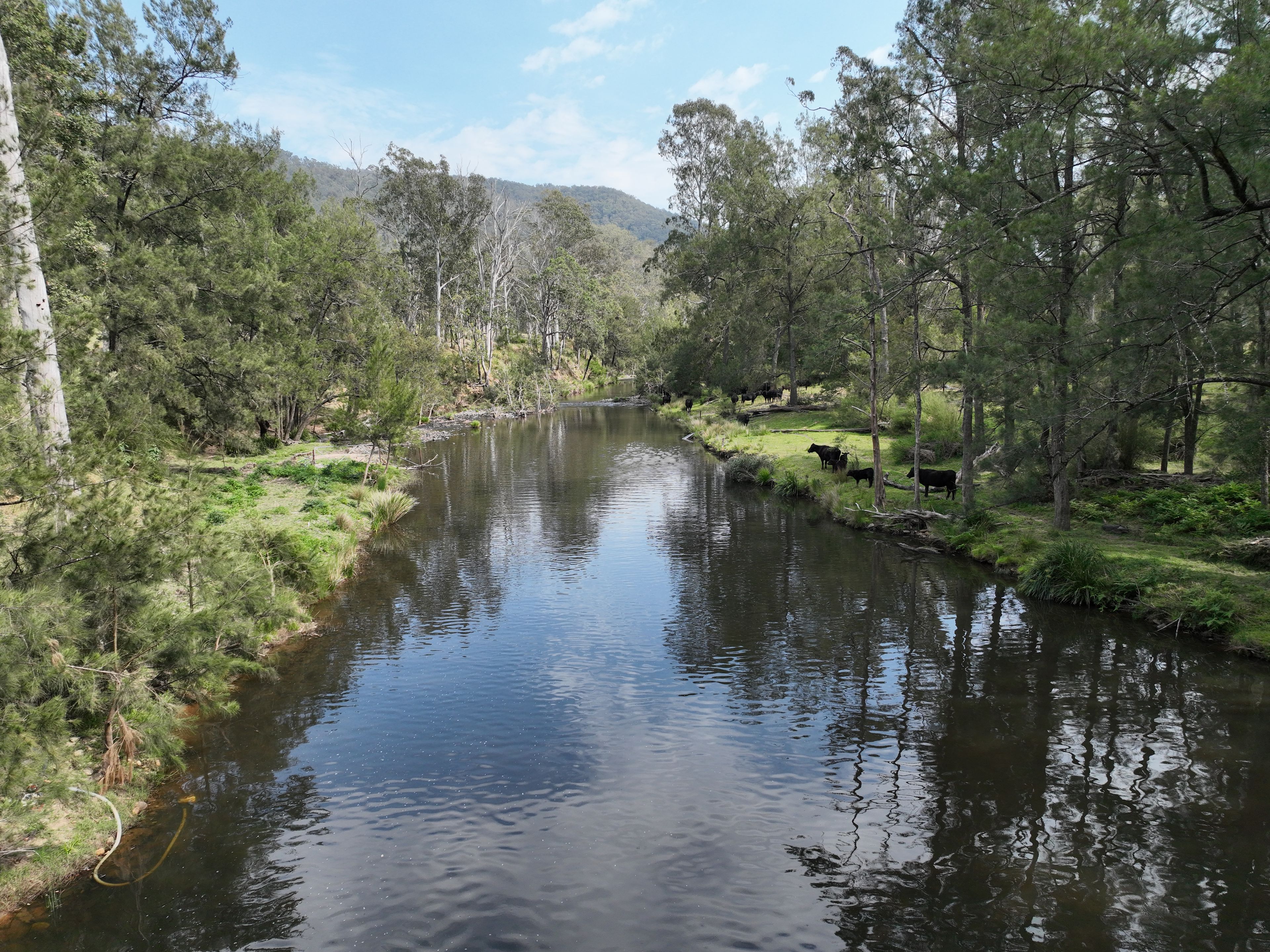 100 Moogem Road — photo from Ray White Rural Glen Innes