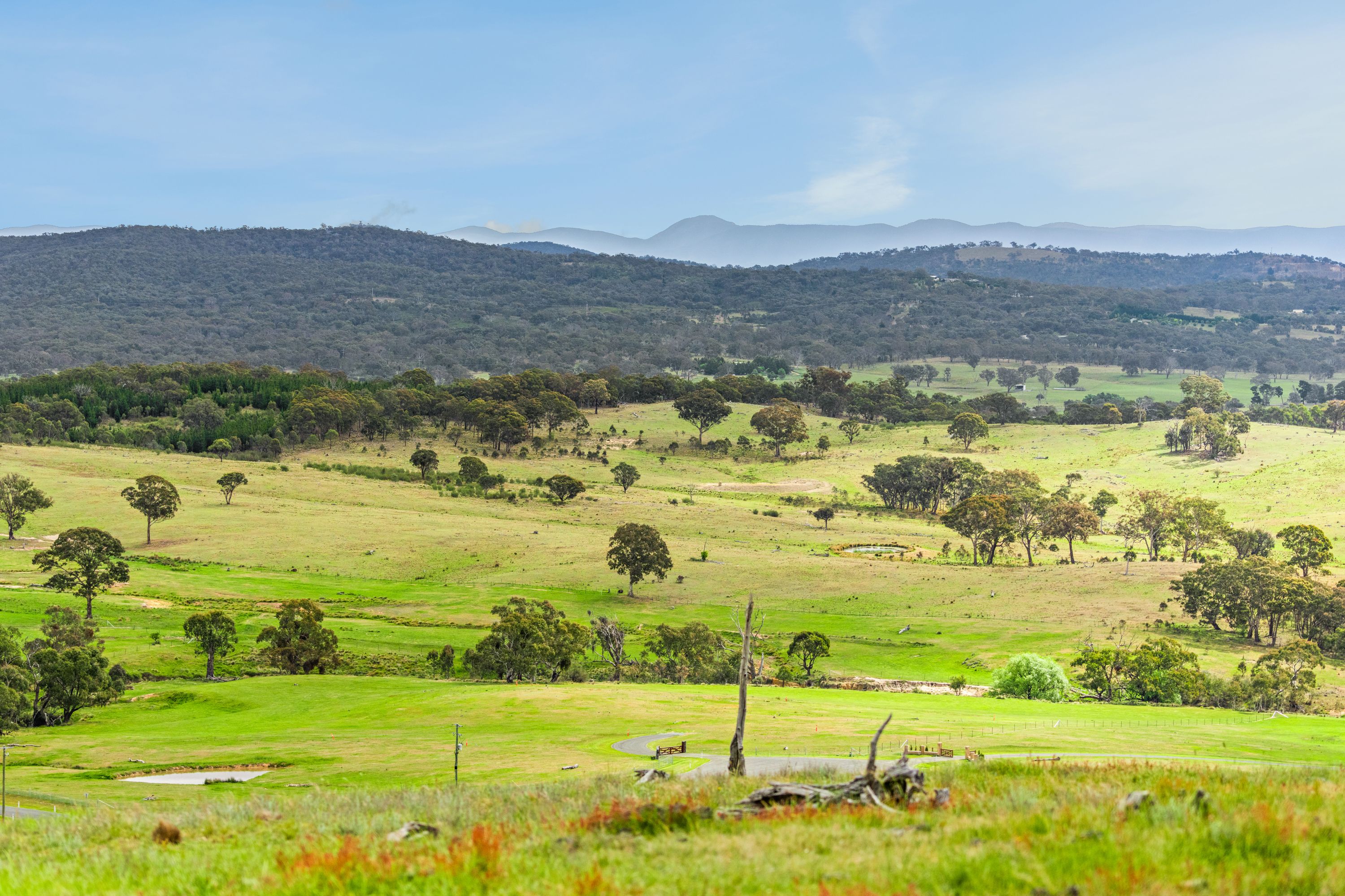 74 Quince Paddock Place, Bywong, NSW 2621