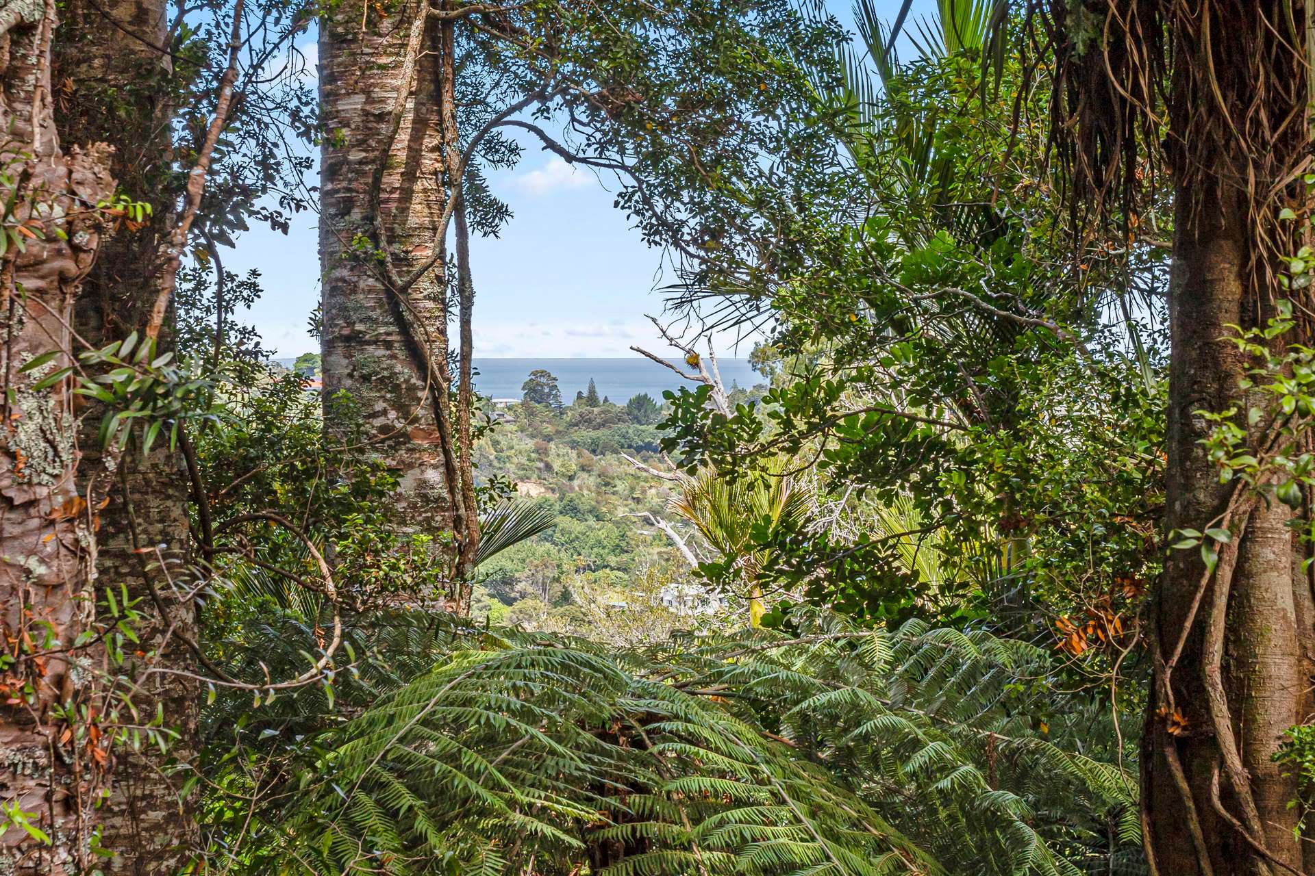 30 Tainui Road photo 5