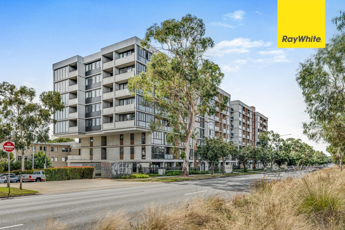 403/253 Northbourne Avenue, Lyneham ACT 2602