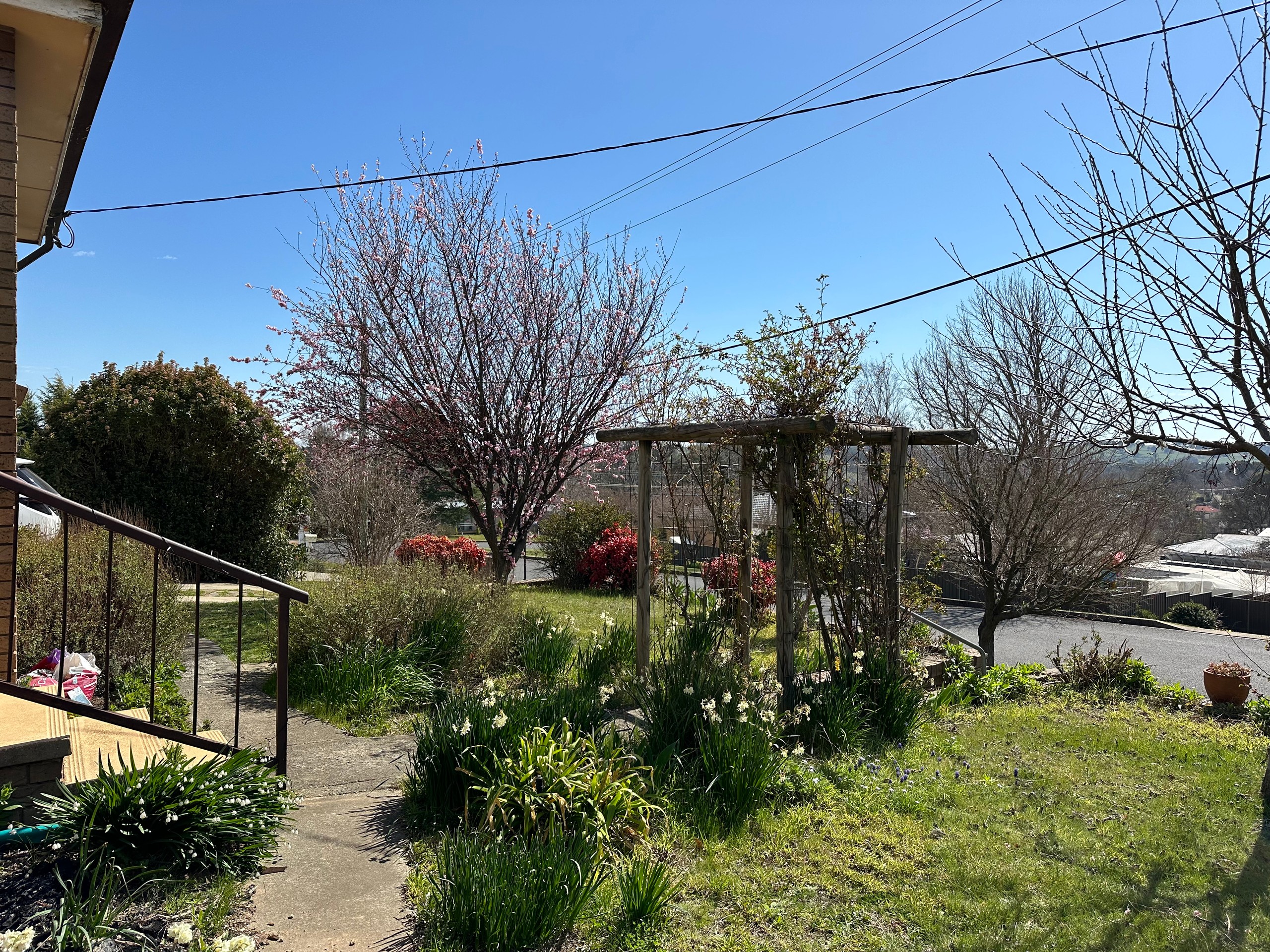 68 Clara Street, Tumbarumba, NSW 2653