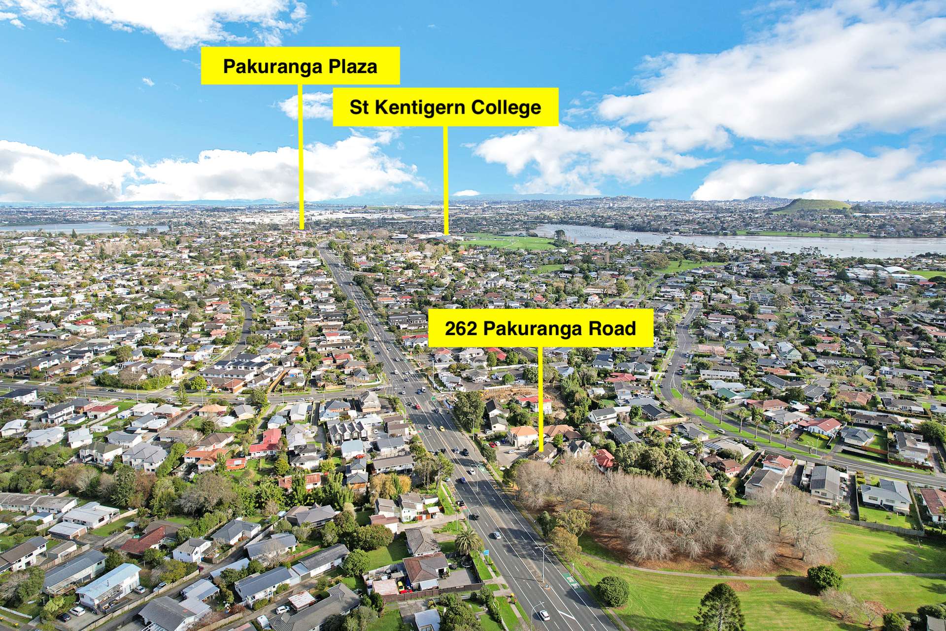 262 Pakuranga Road photo 17