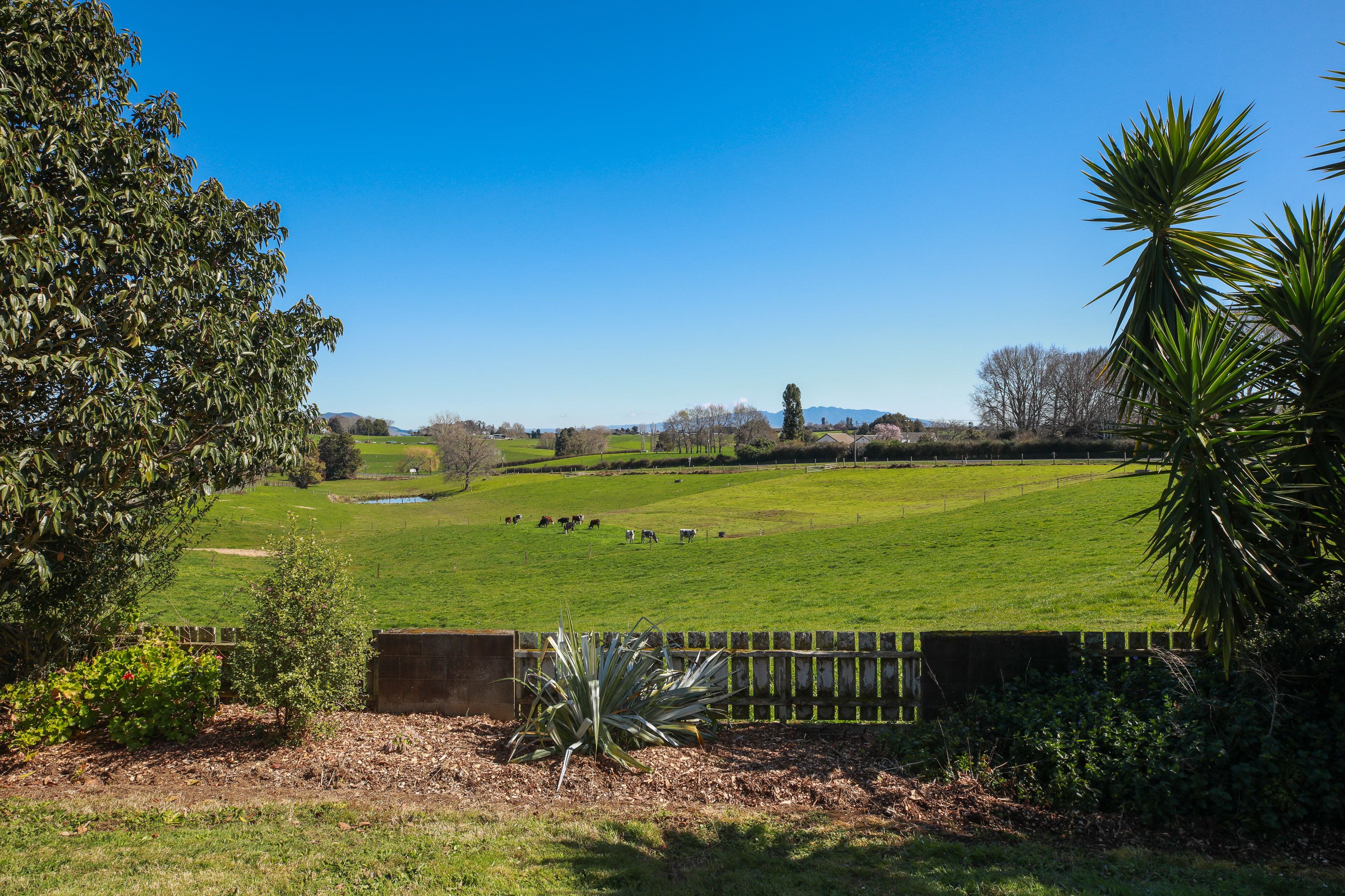 18 Rangiaowhia Road, Te Awamutu, Waipa District 3800 Sold Lifestyle