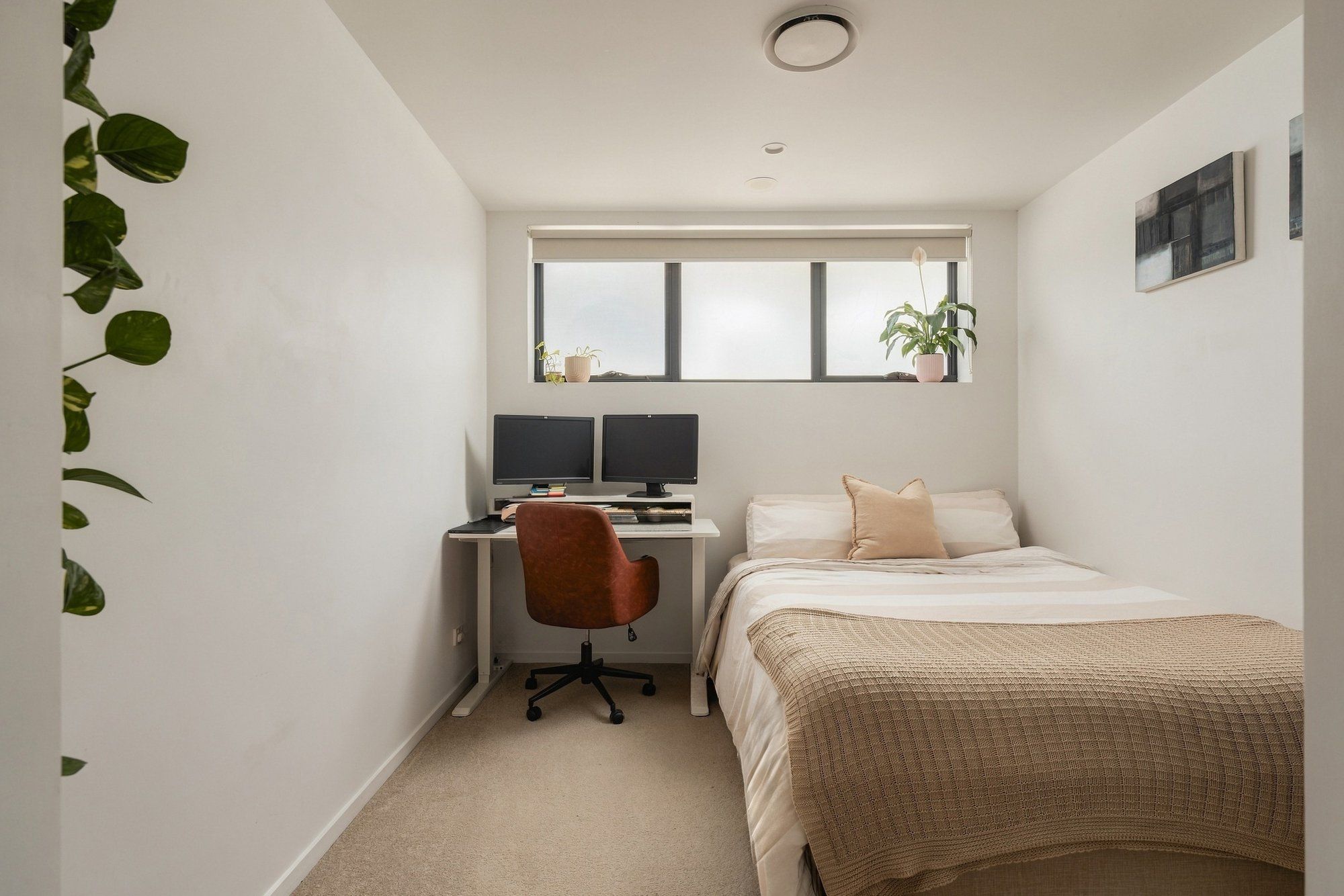 2/24 Pollock Street — photo 10 of 11