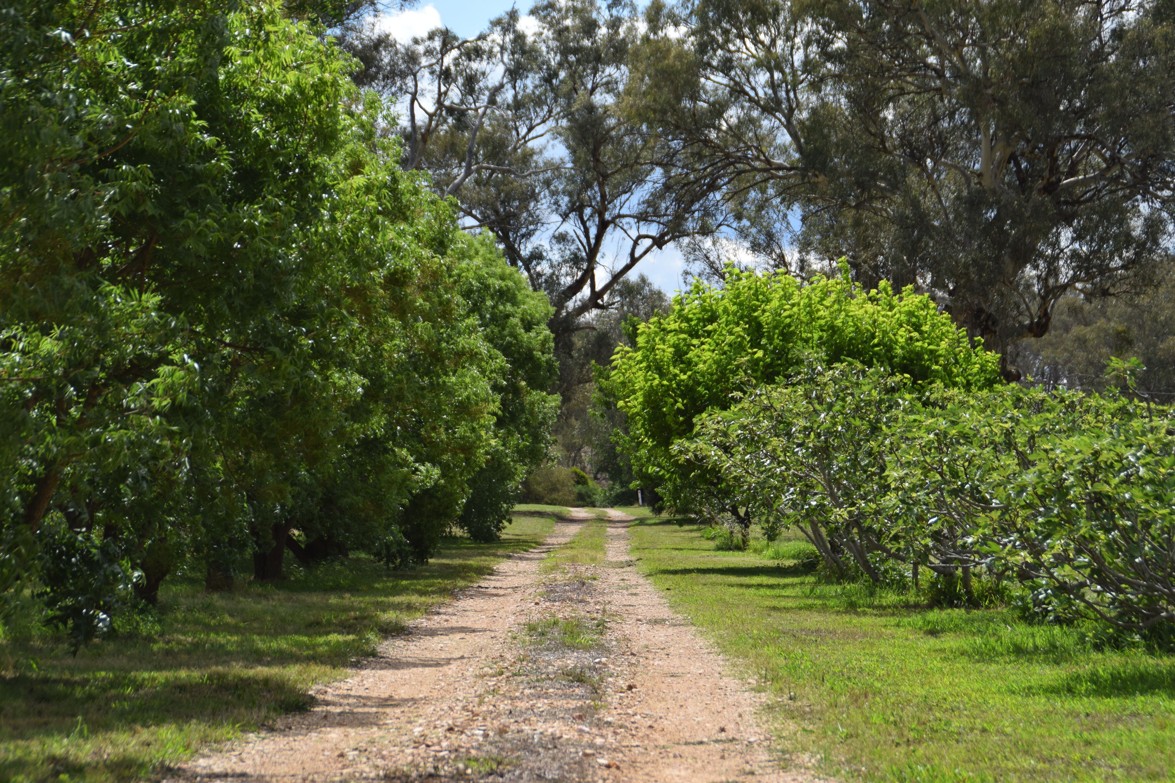 'Cucciata' 532 Curra Creek Road — photo 14 of 30