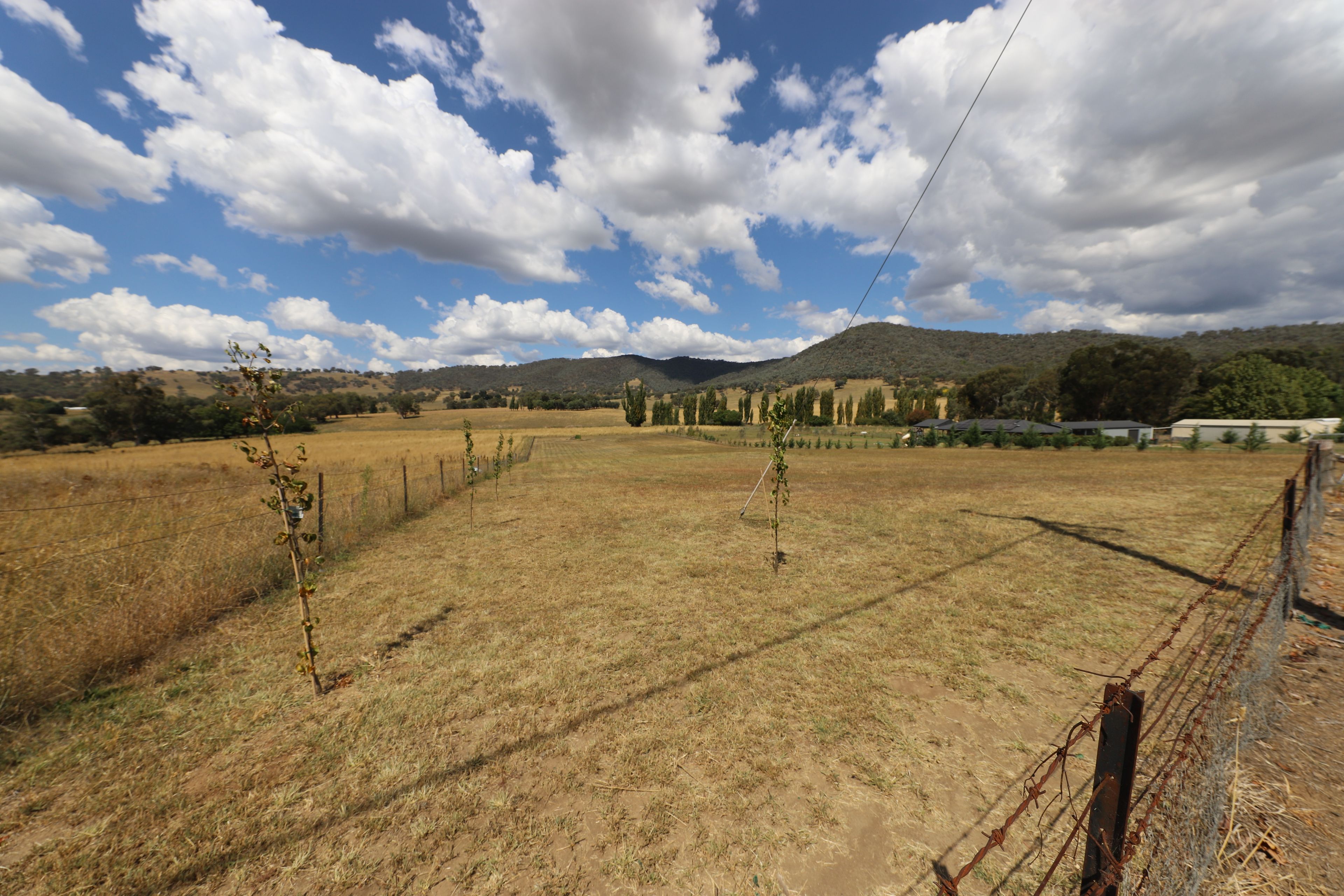Lot 50 Selwyn Street, Adelong, NSW 2729 Sold Land Ray White Tumut