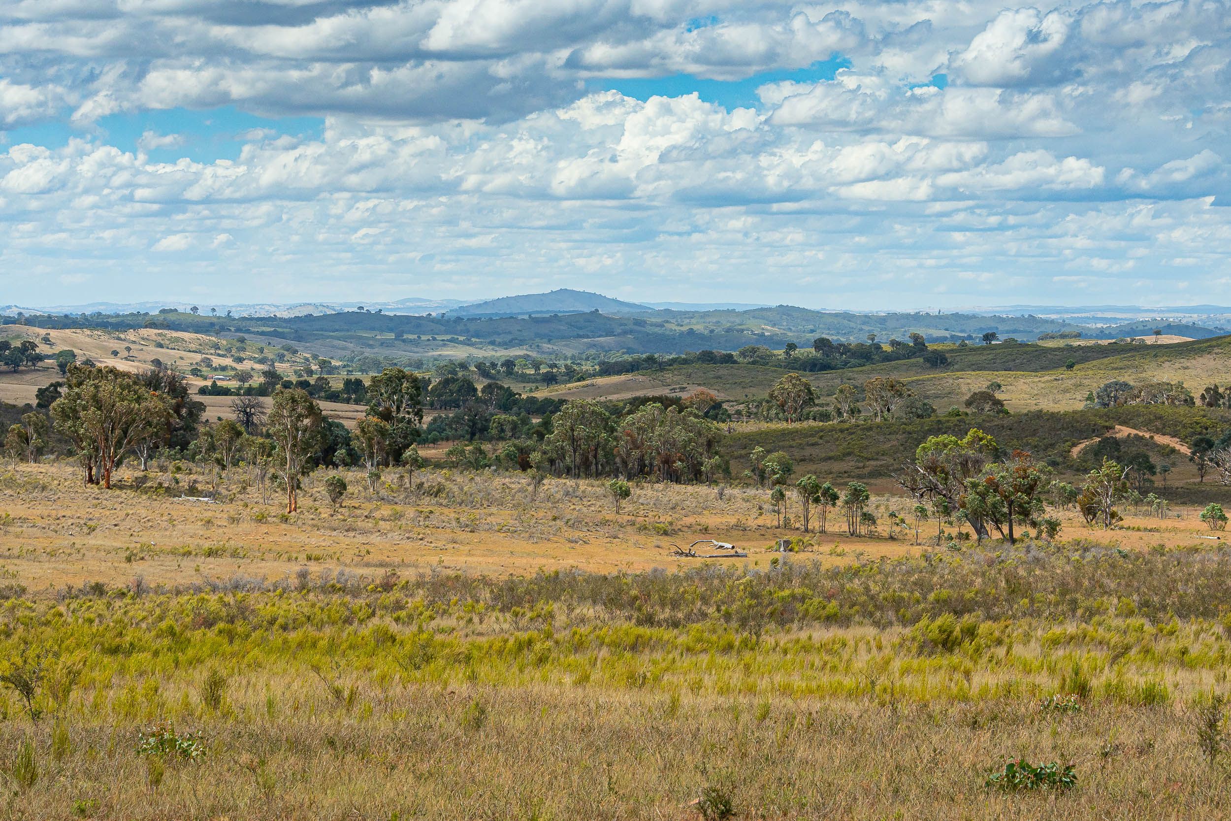 Lot 75 Maryvale Road Bevendale Via — photo 5 of 10
