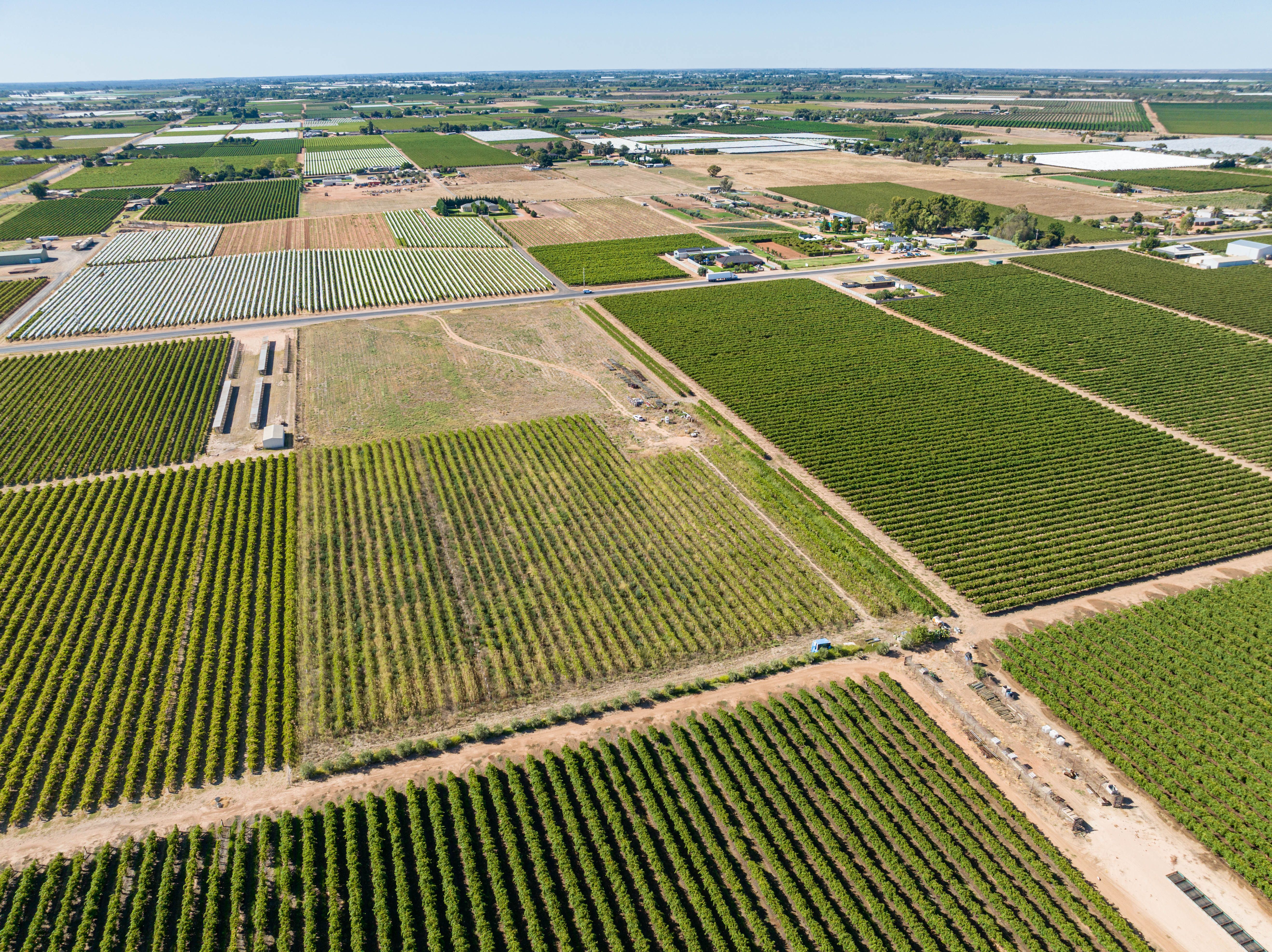 965983 Avenue, Mildura, VIC 3500 Land for Sale Ray White