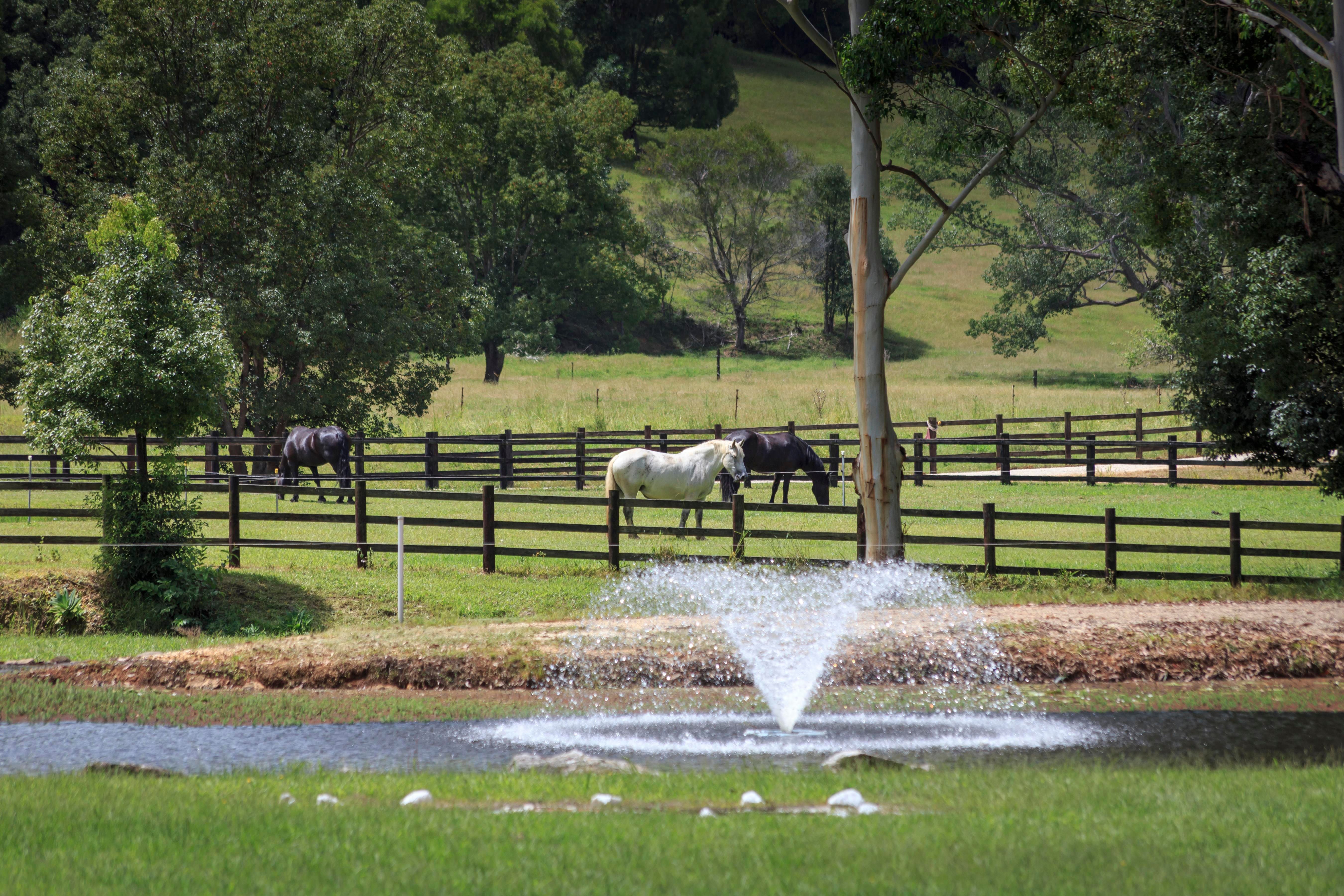 Nobbys Creek, NSW 2484