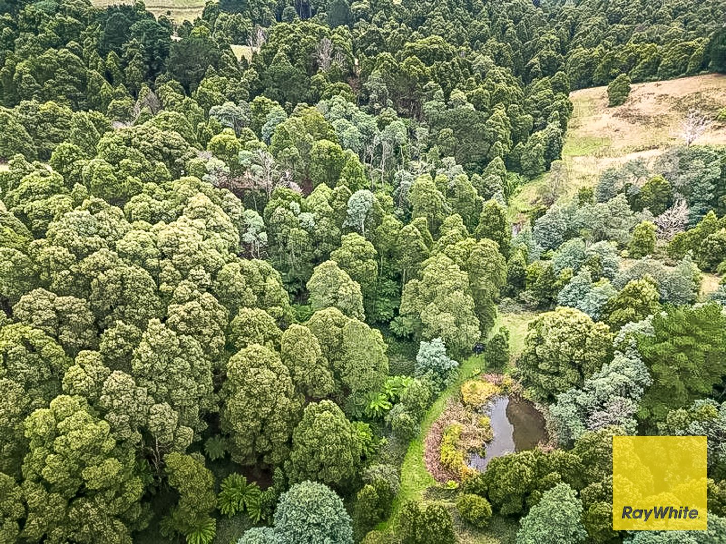 478 Foster-Mirboo Road — photo 4 of 7