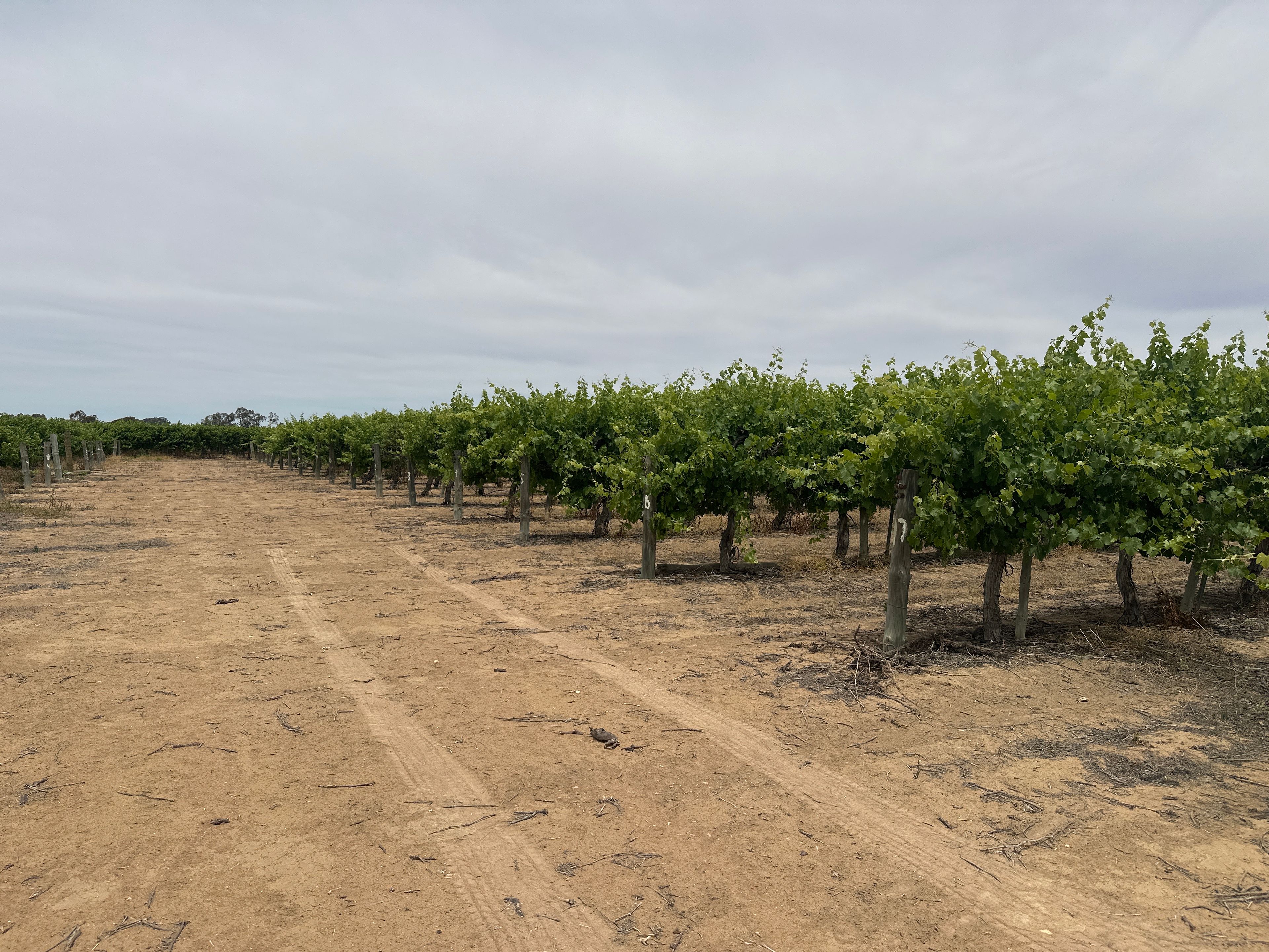 Lot 22 Brand Road — photo 12 of 12